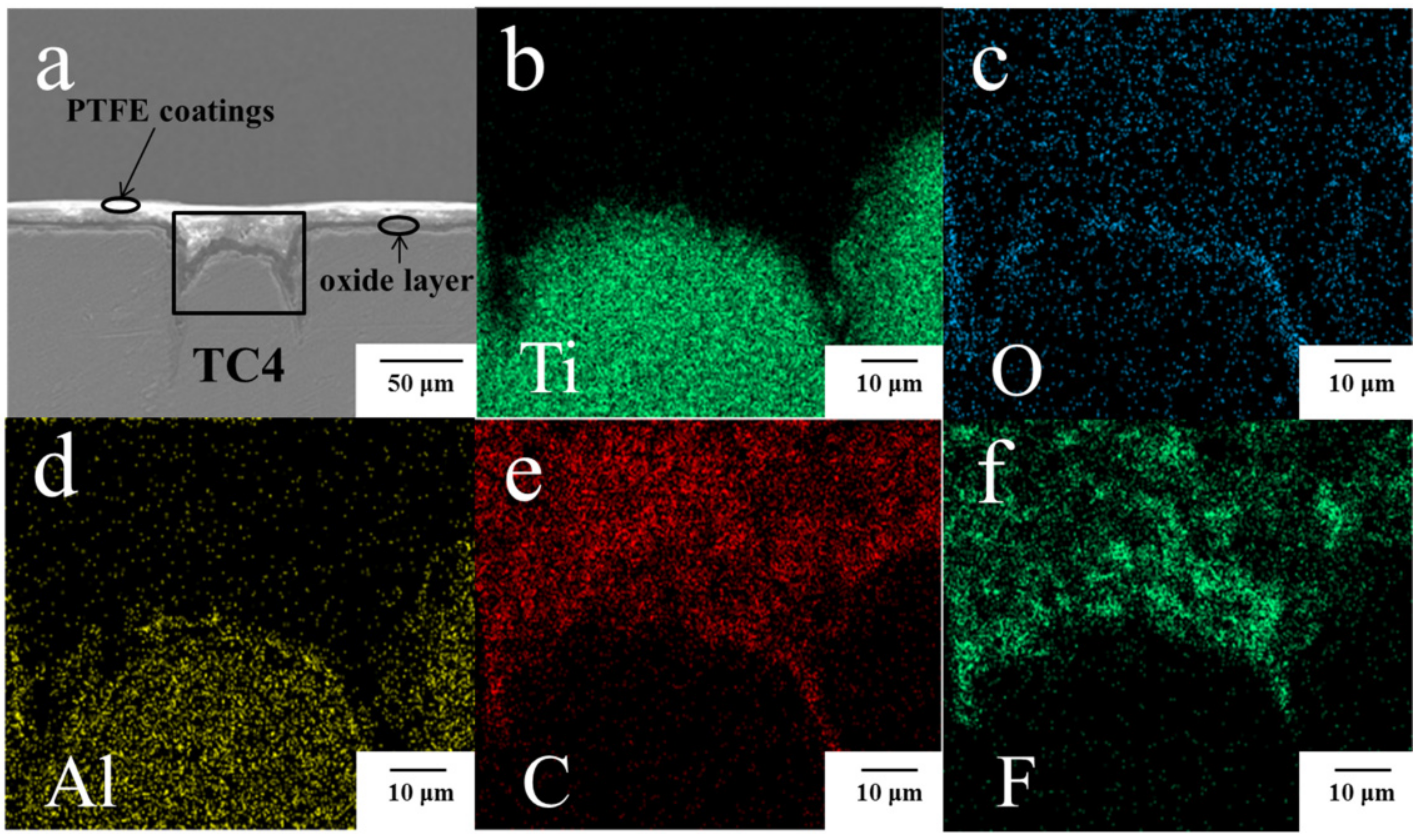 Coatings 12 00332 g003