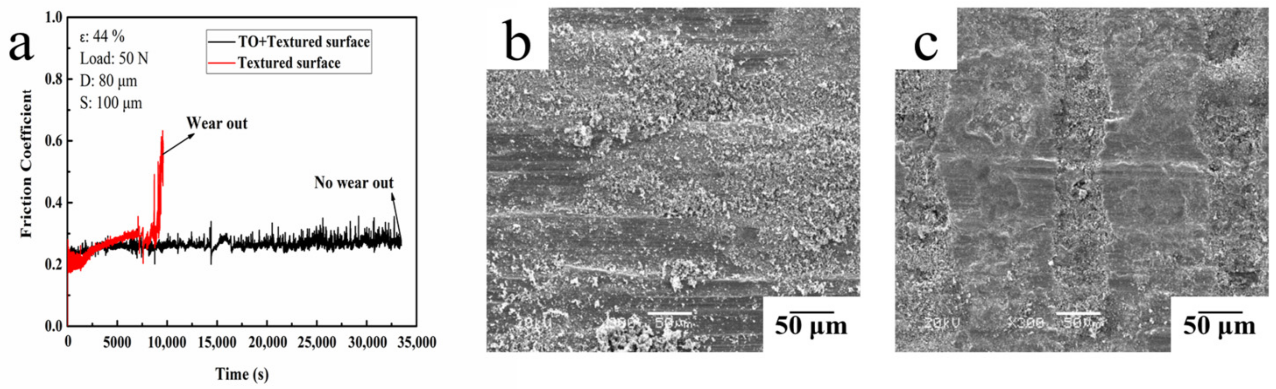 Coatings 12 00332 g008