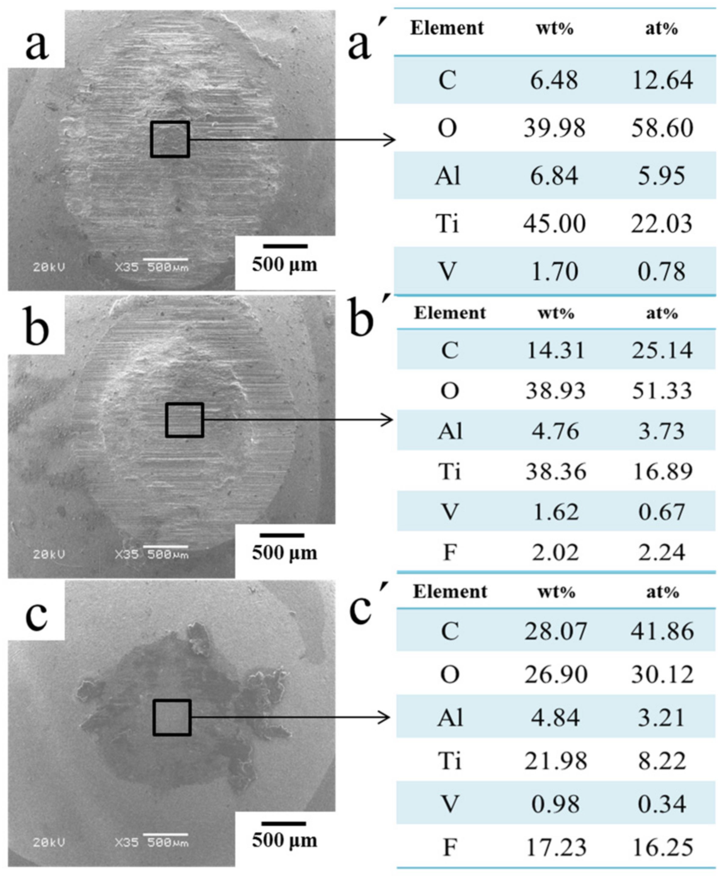 Coatings 12 00332 g011