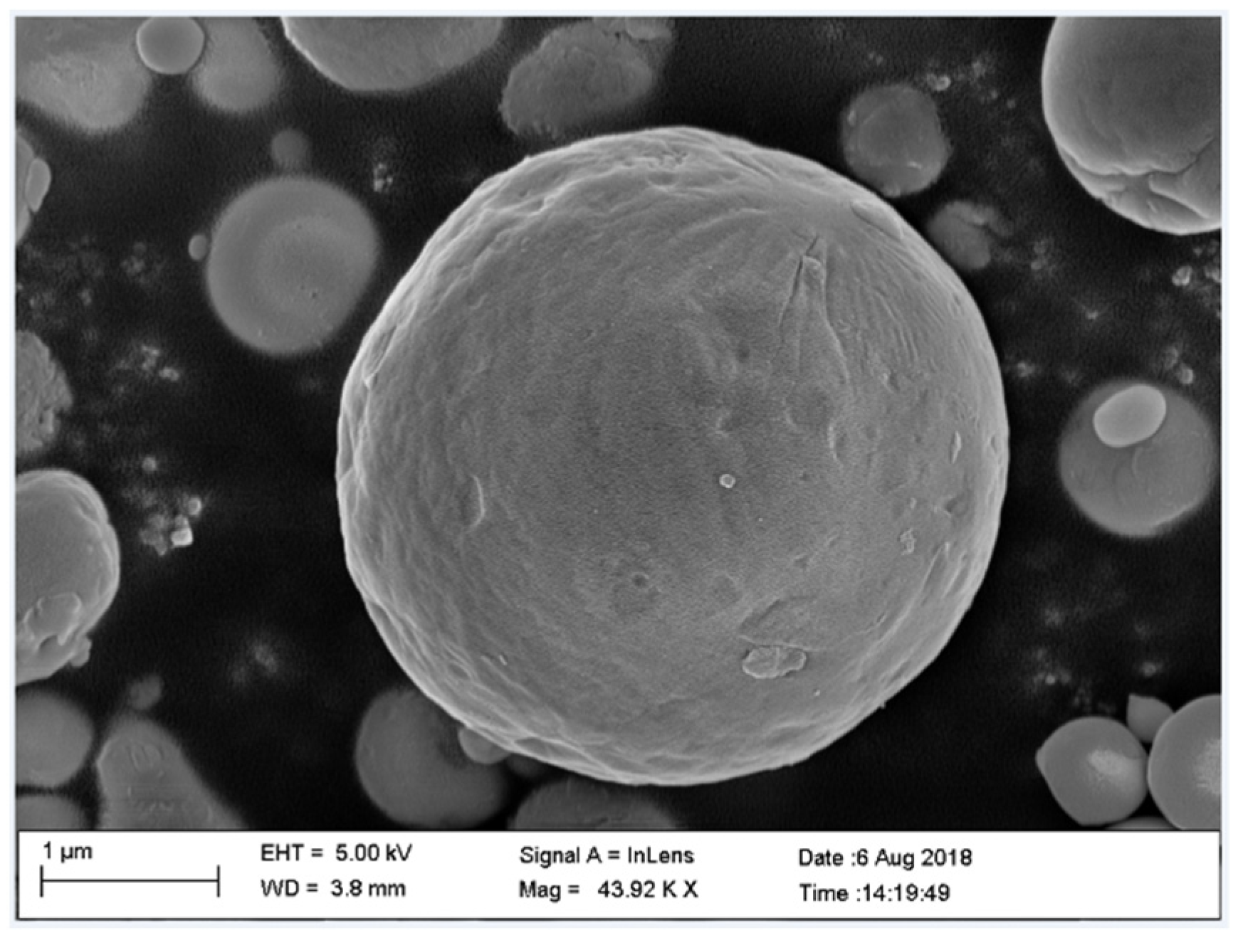 Coatings 12 00349 g002