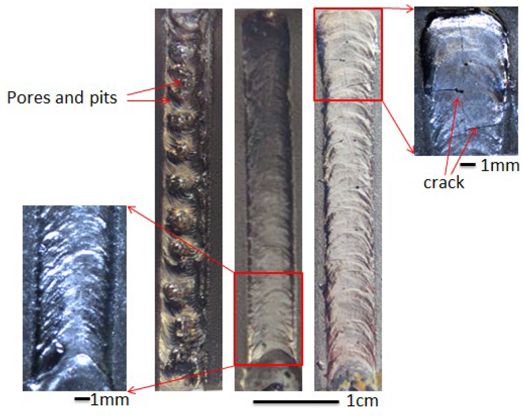 Coatings 12 00350 g008