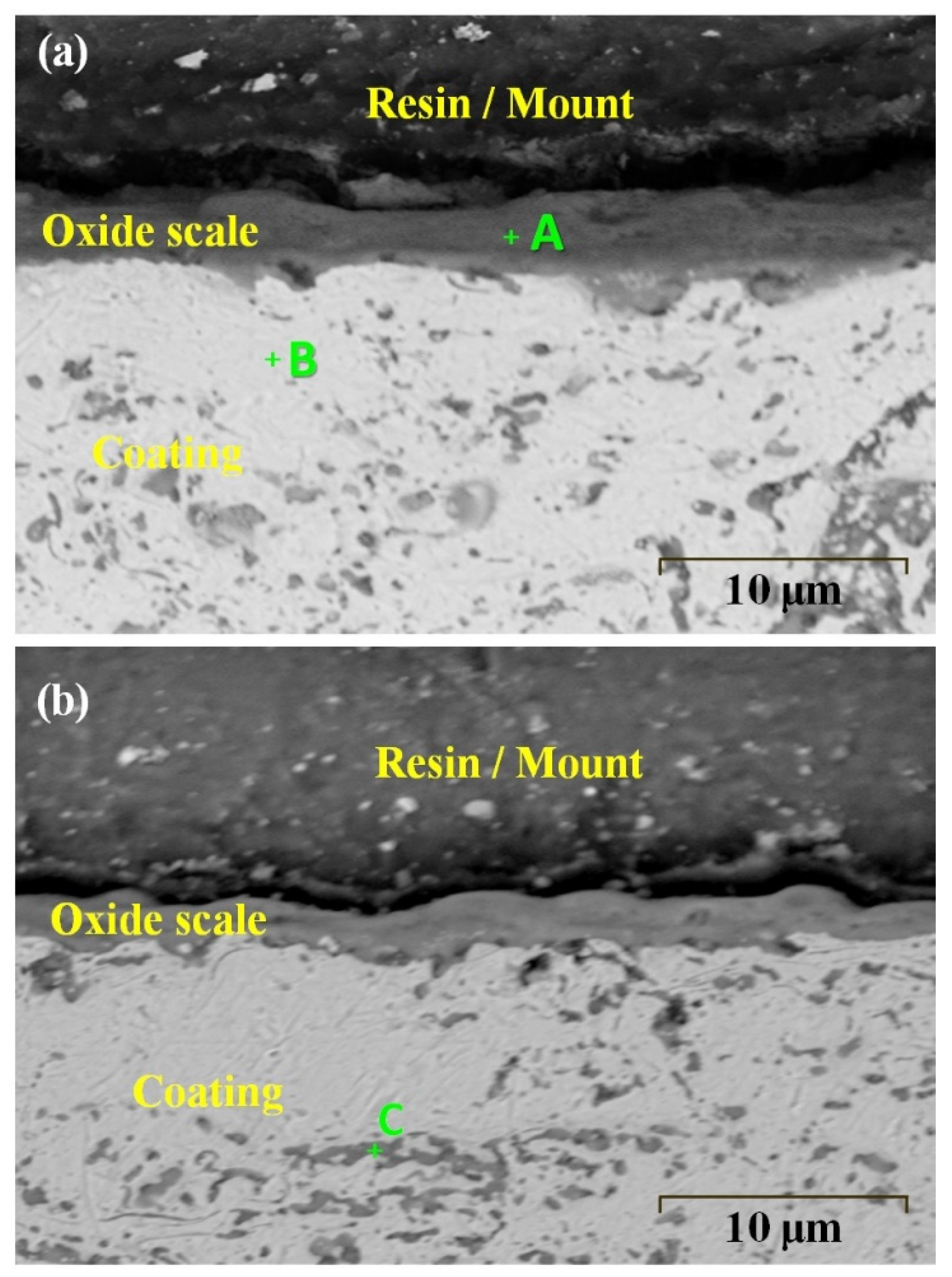 Coatings 12 00372 g009