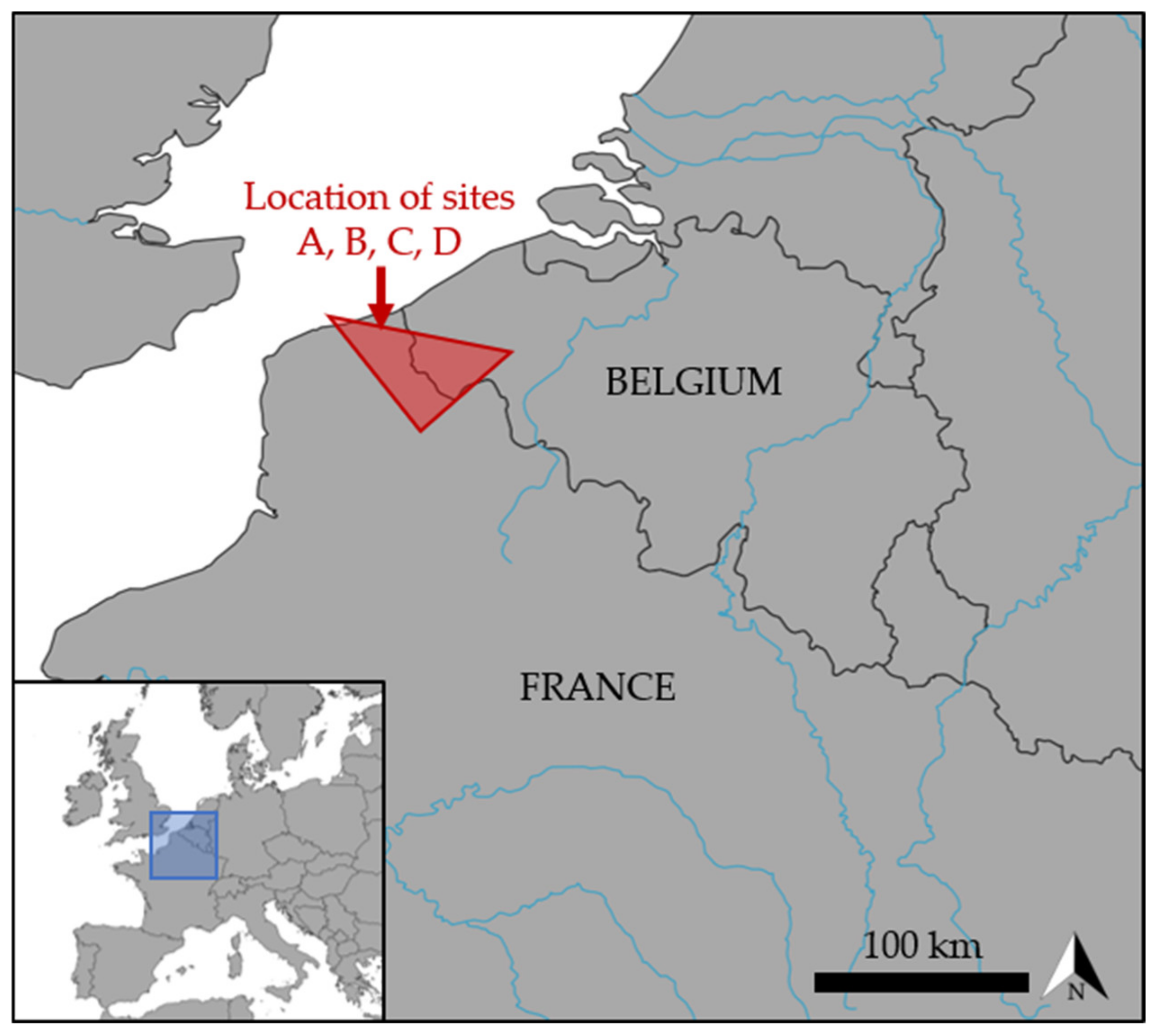 Coatings 12 00375 g002
