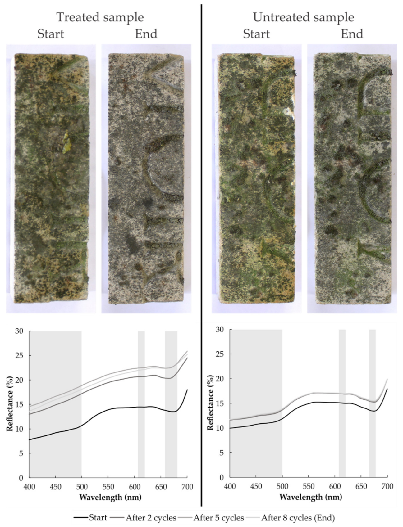 Coatings 12 00375 g003
