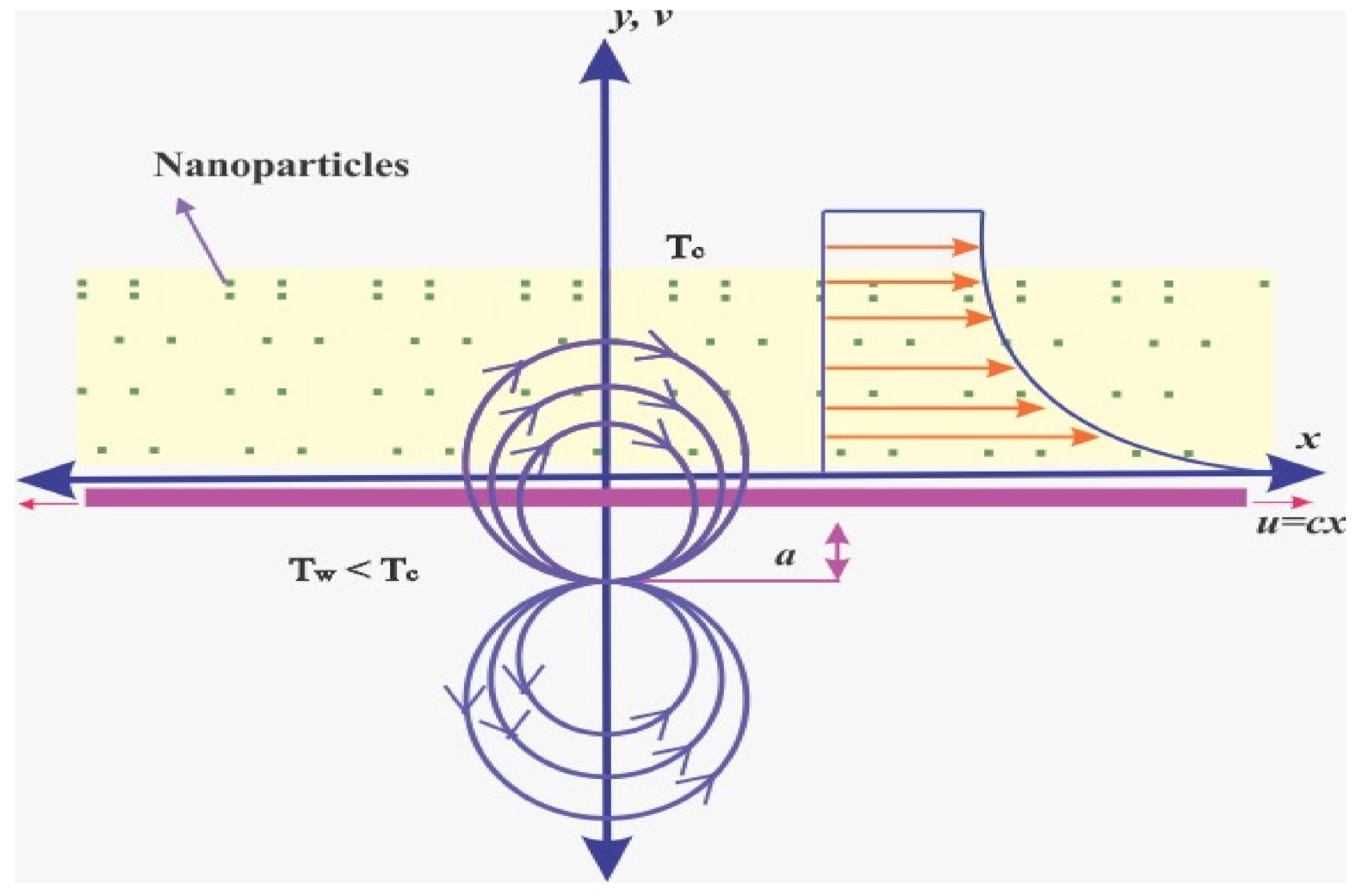 Coatings 12 00391 g001