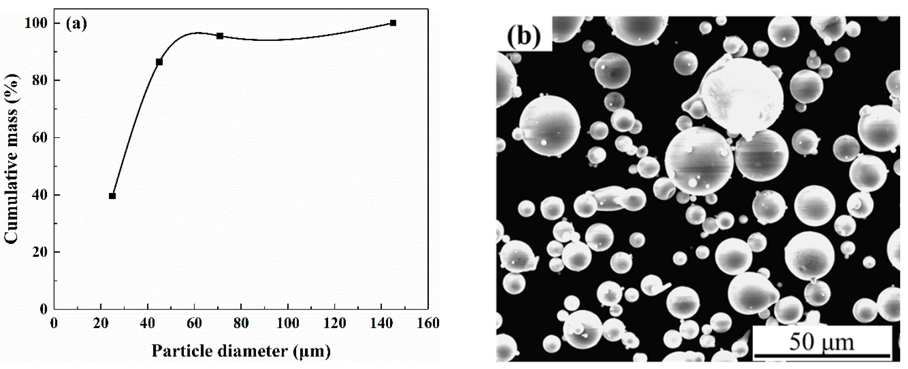 Coatings 12 00425 g001