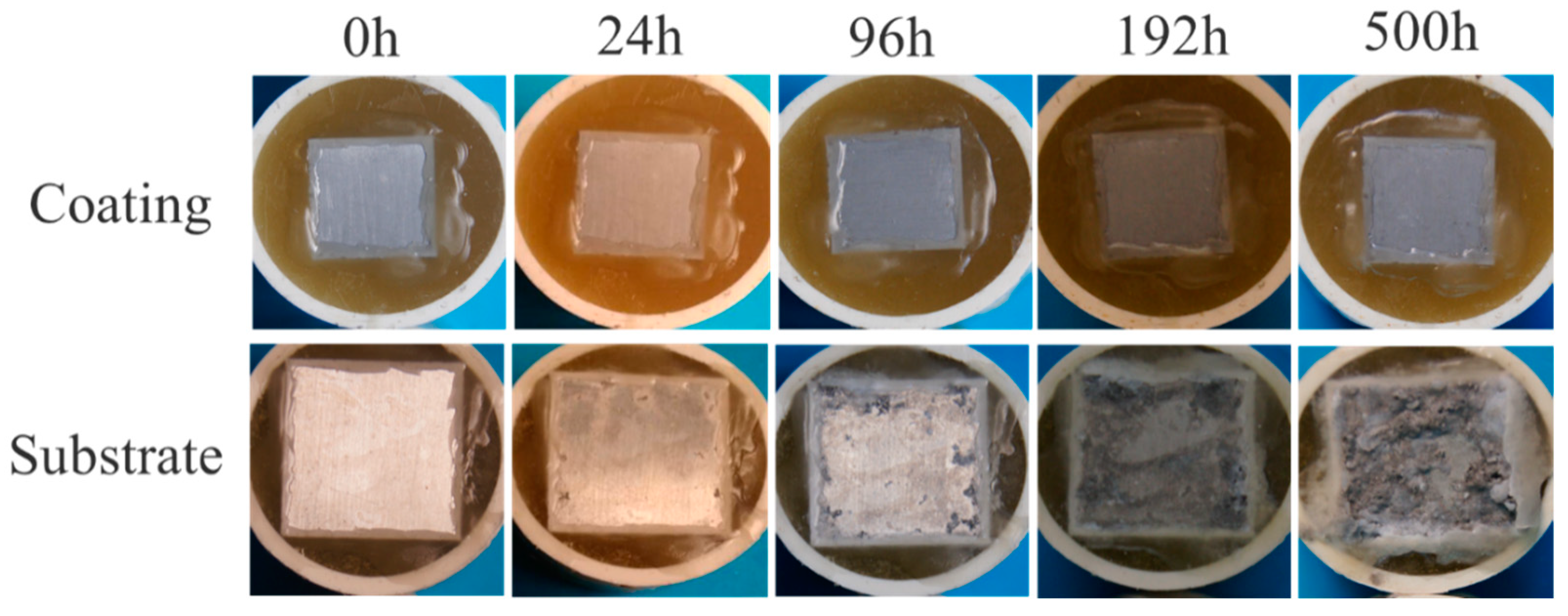 Coatings 12 00425 g007