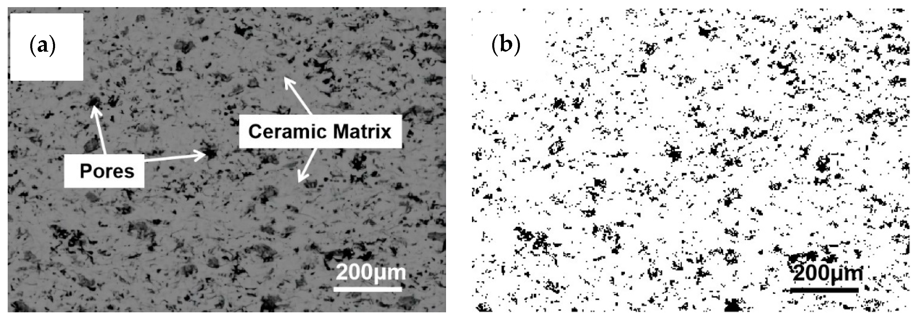 Coatings 12 00438 g001