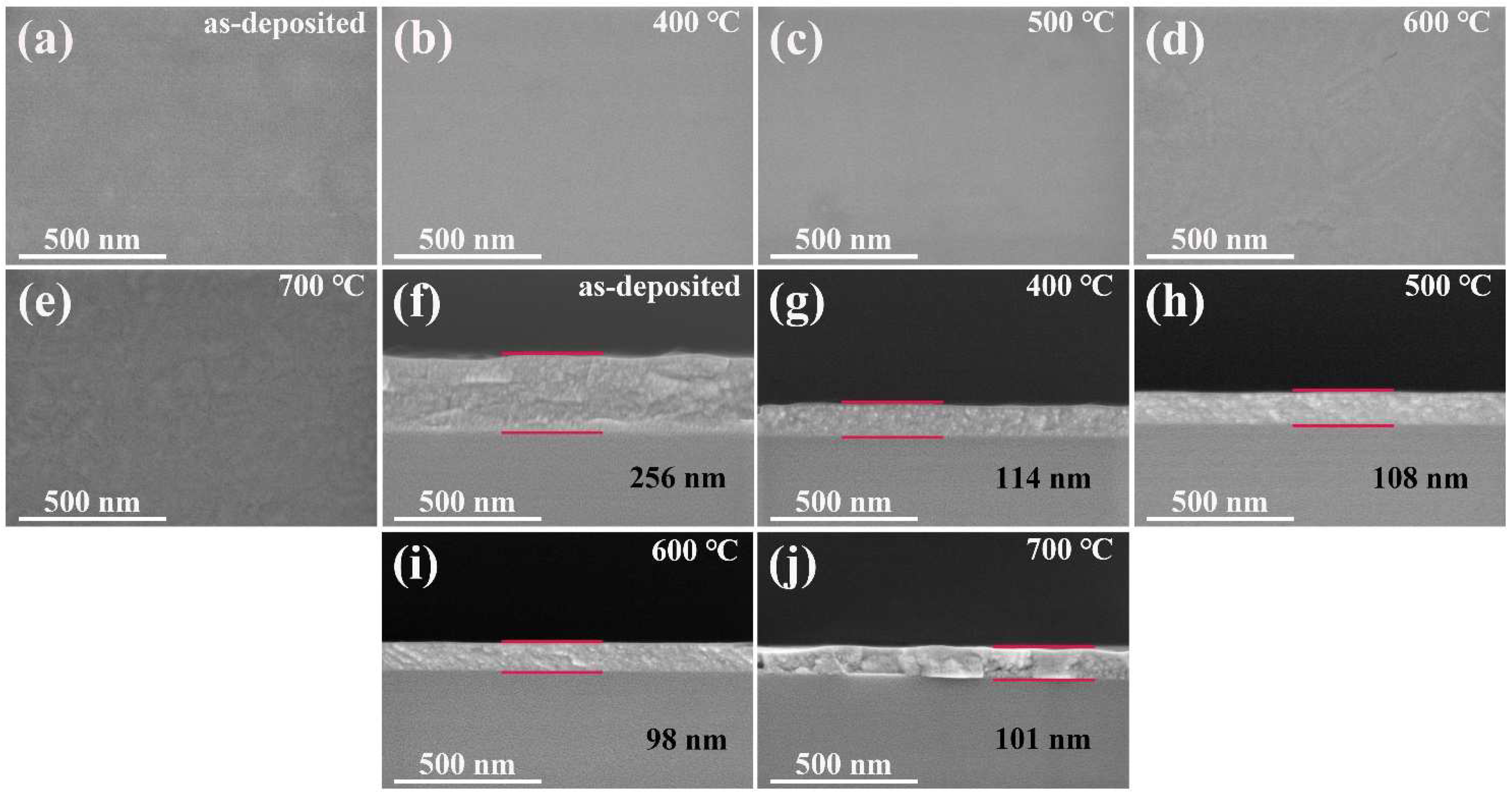 Coatings 12 00439 g004