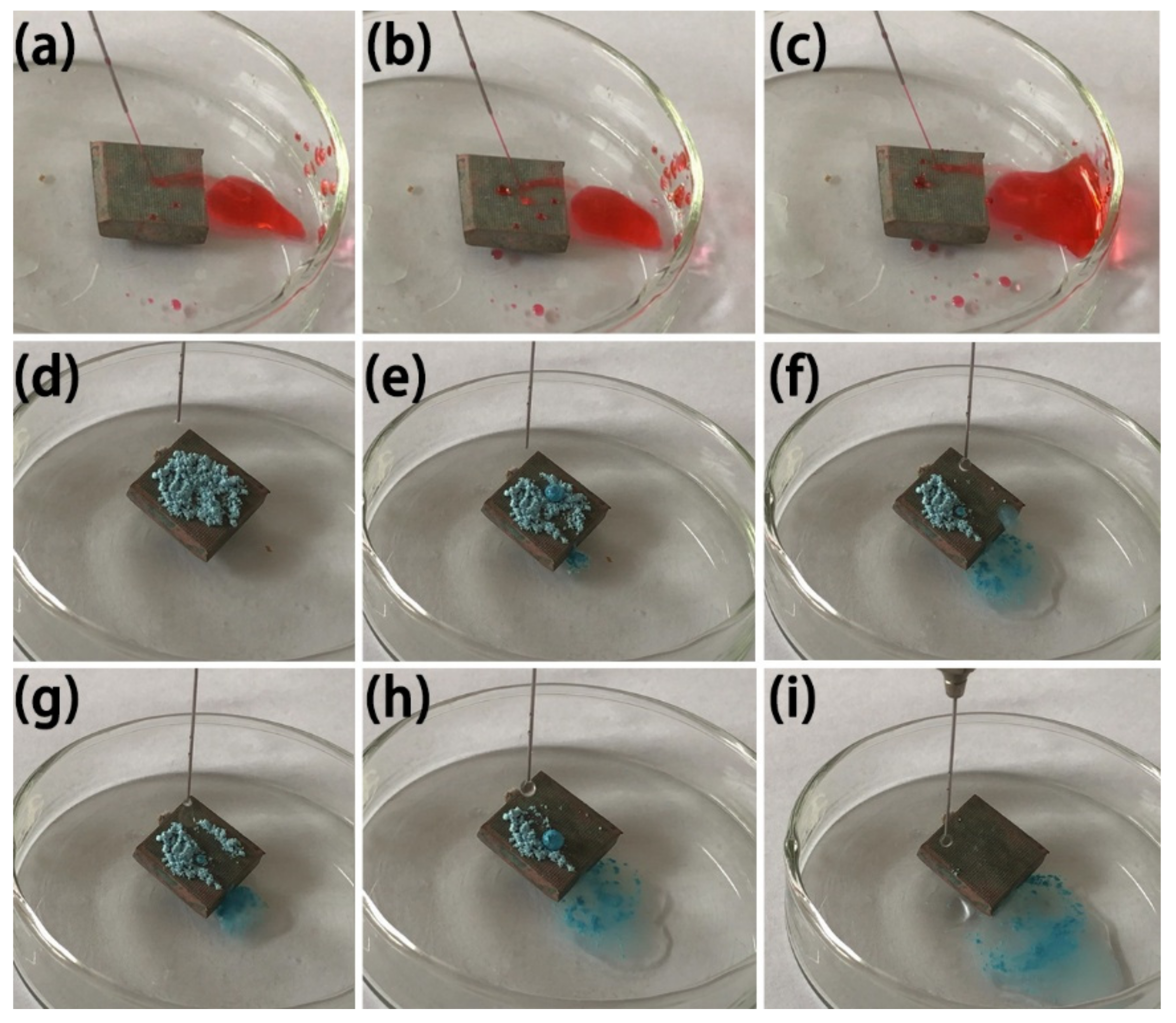 Coatings 12 00442 g010