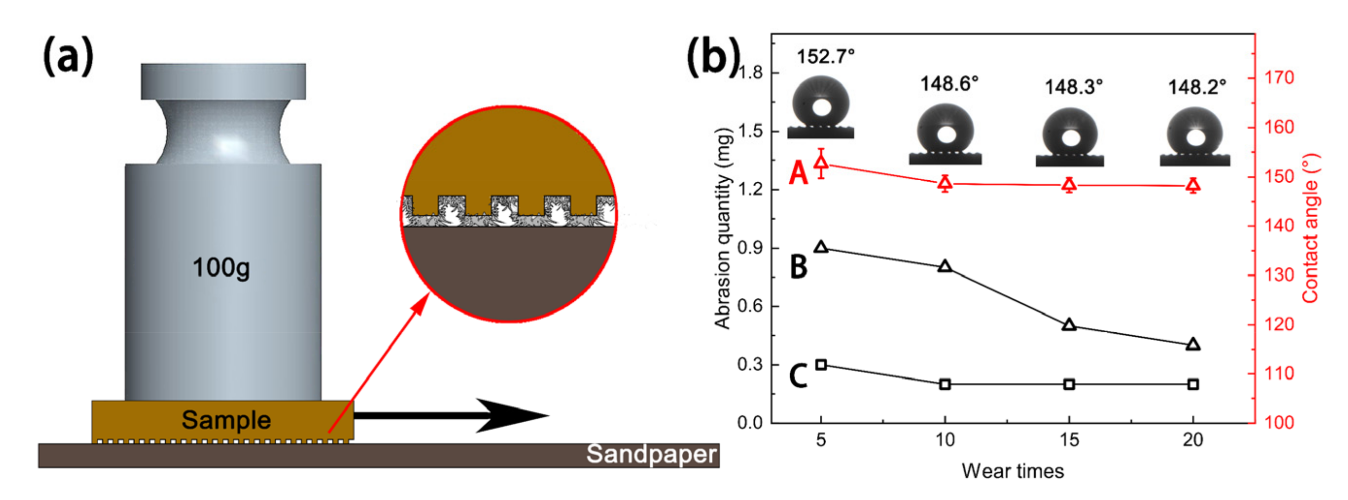 Coatings 12 00442 g012
