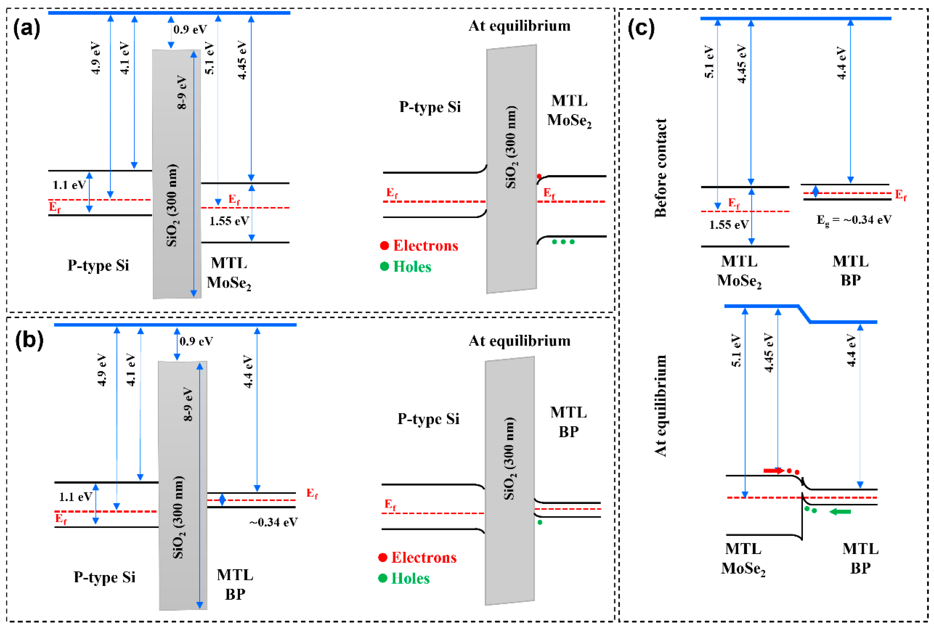 Coatings 12 00445 g002
