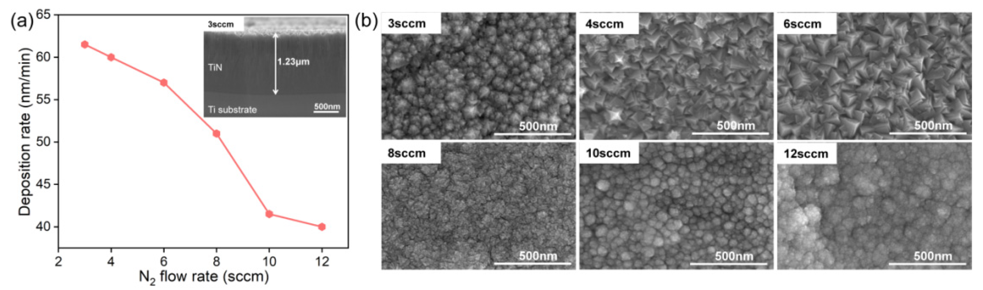 Coatings 12 00454 g002