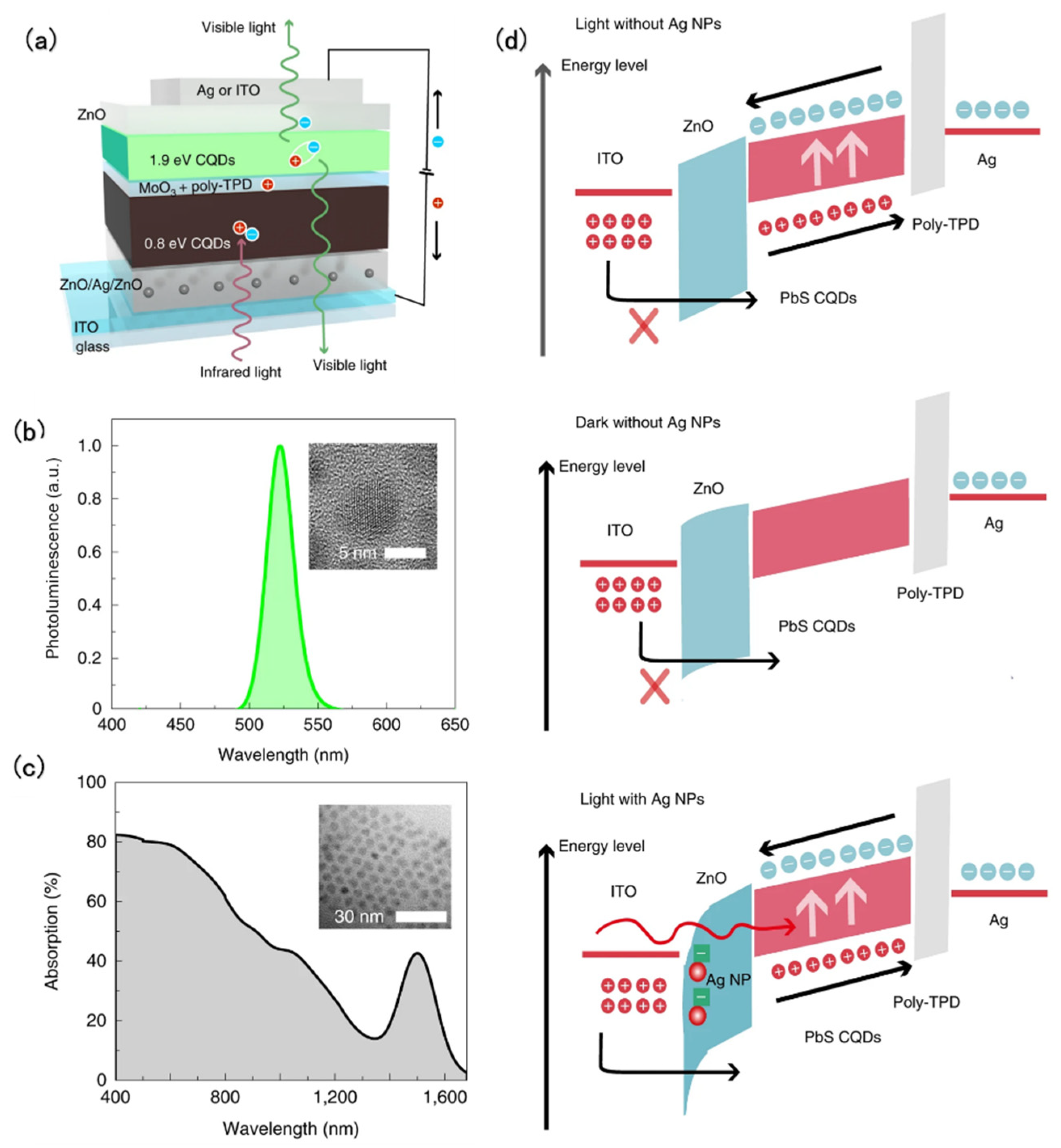 Coatings 12 00456 g008
