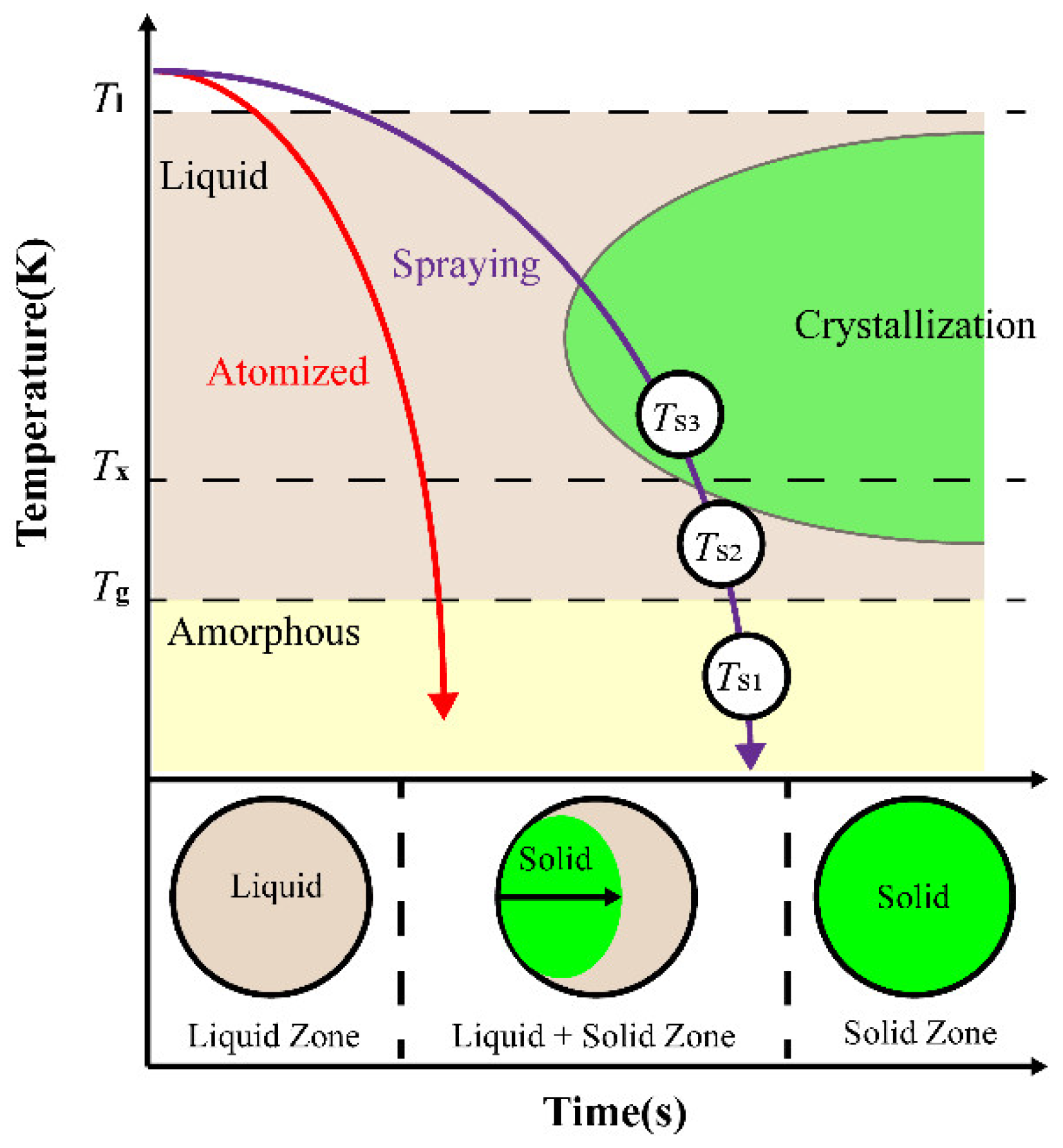 Coatings 12 00458 g002