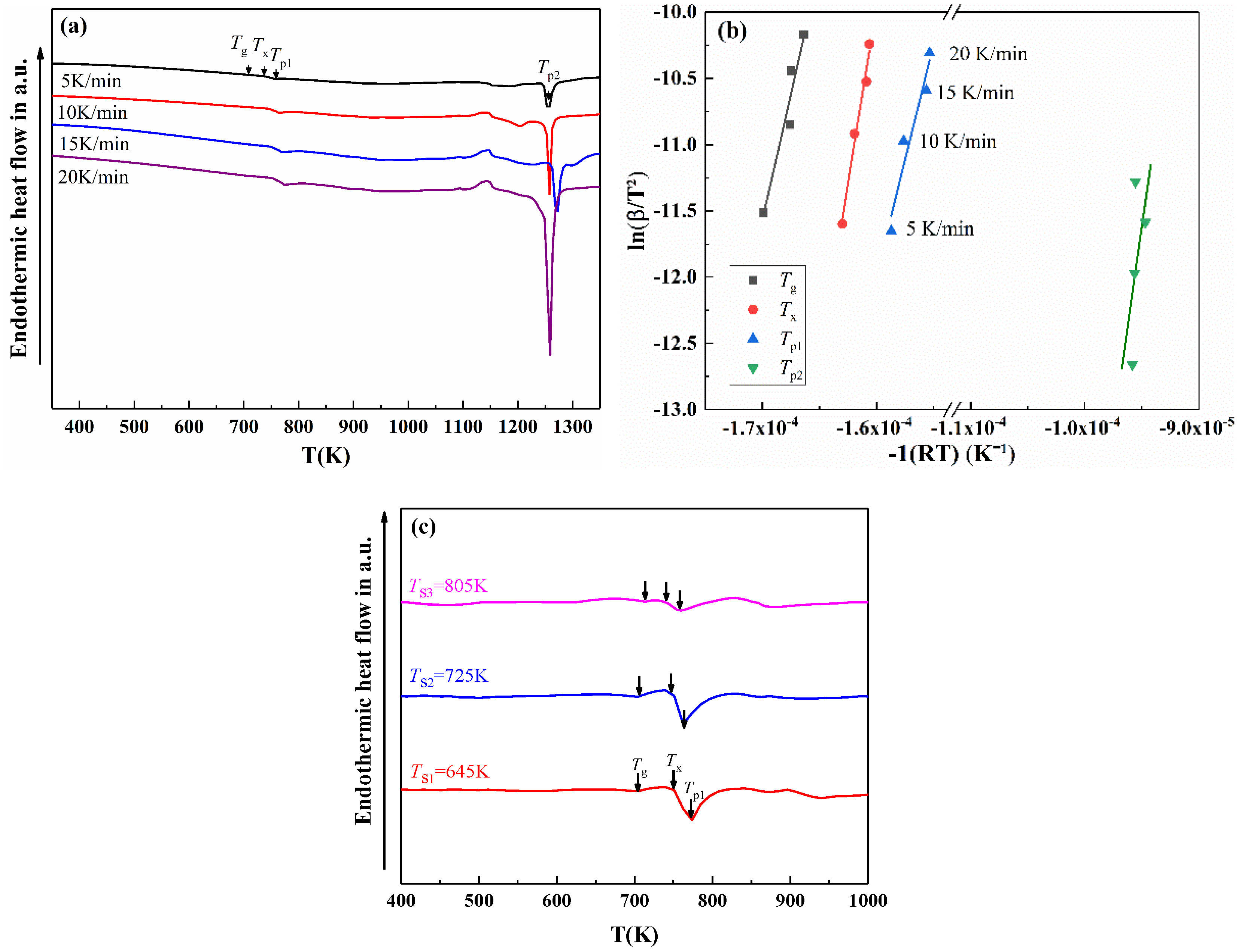 Coatings 12 00458 g006