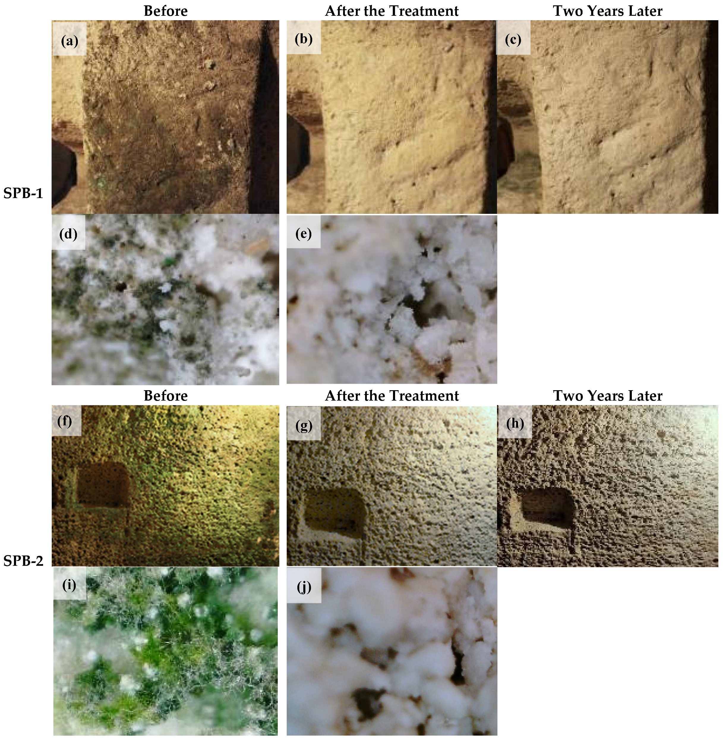 Coatings 12 00462 g004