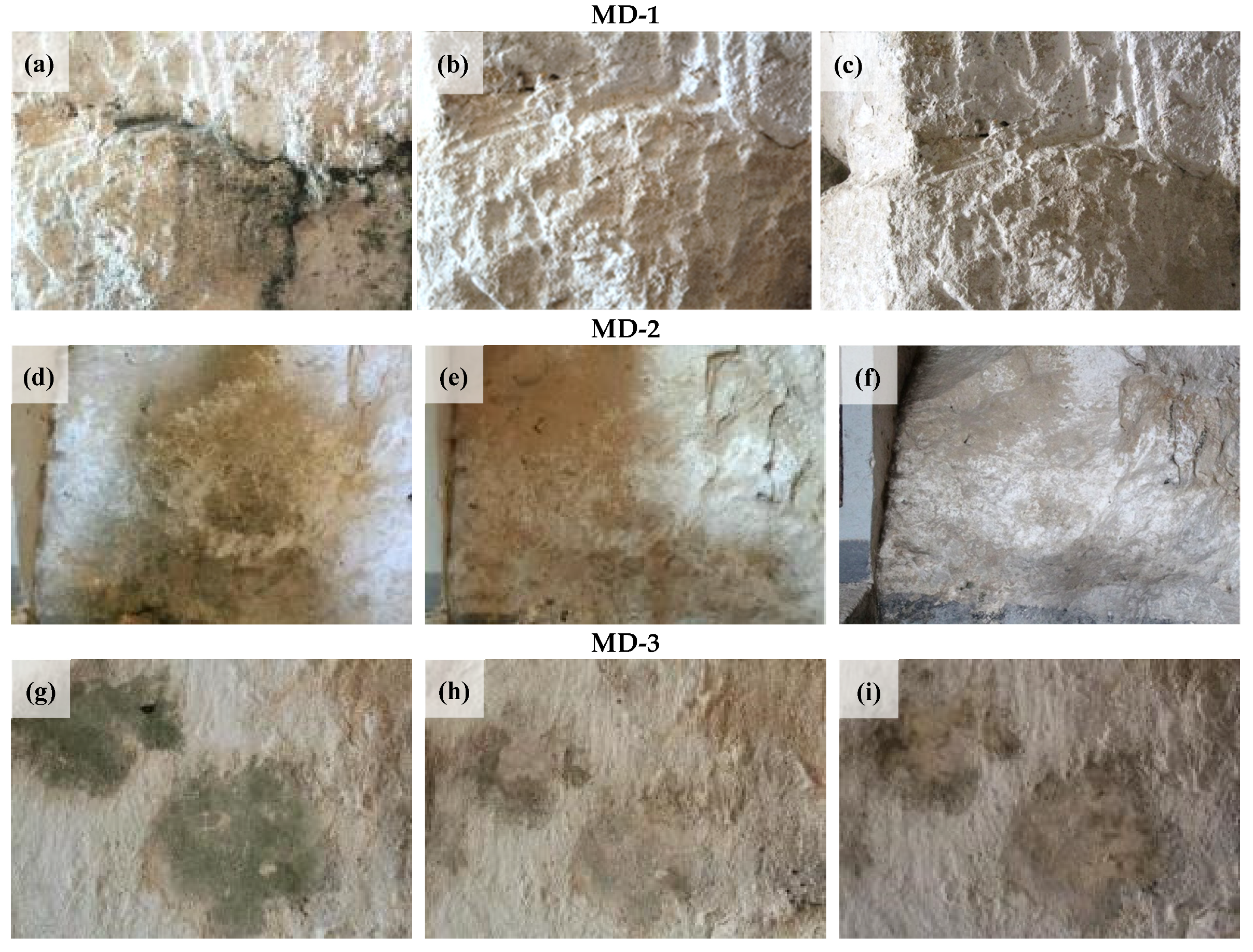 Coatings 12 00462 g007