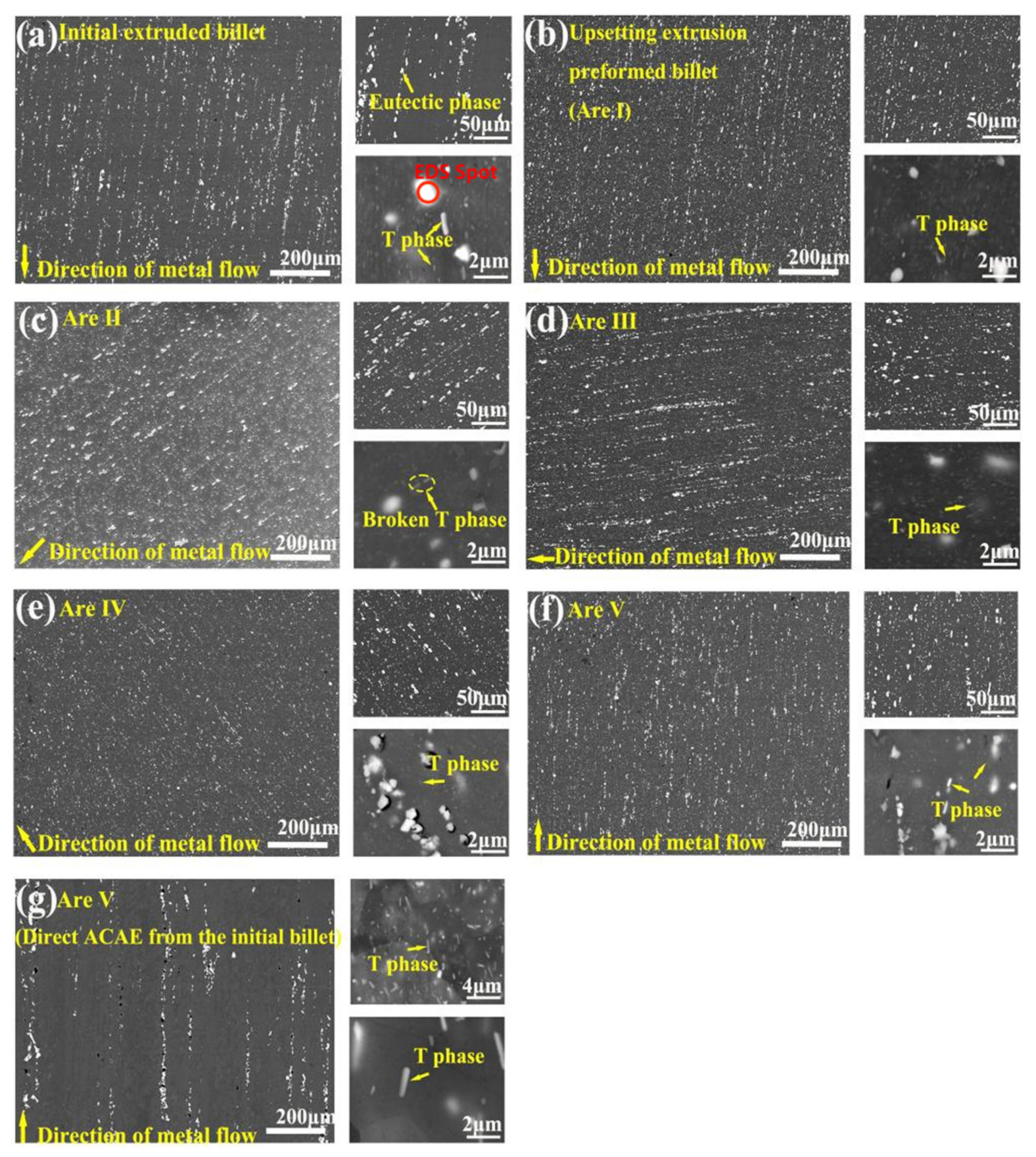 Coatings 12 00477 g004