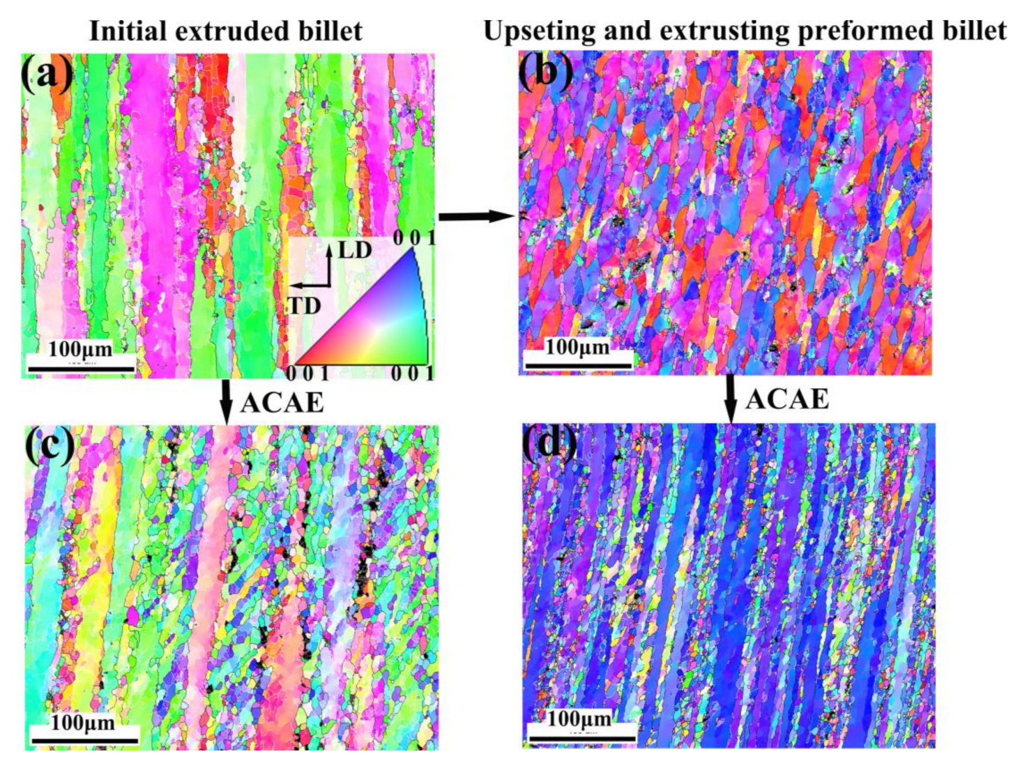 Coatings 12 00477 g006