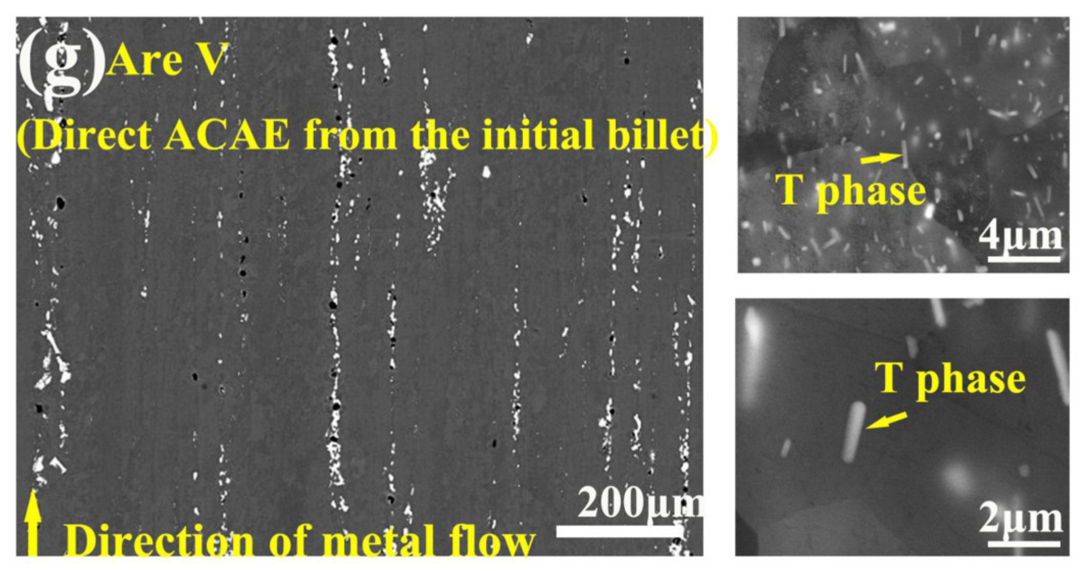 Coatings 12 00477 g0a1b