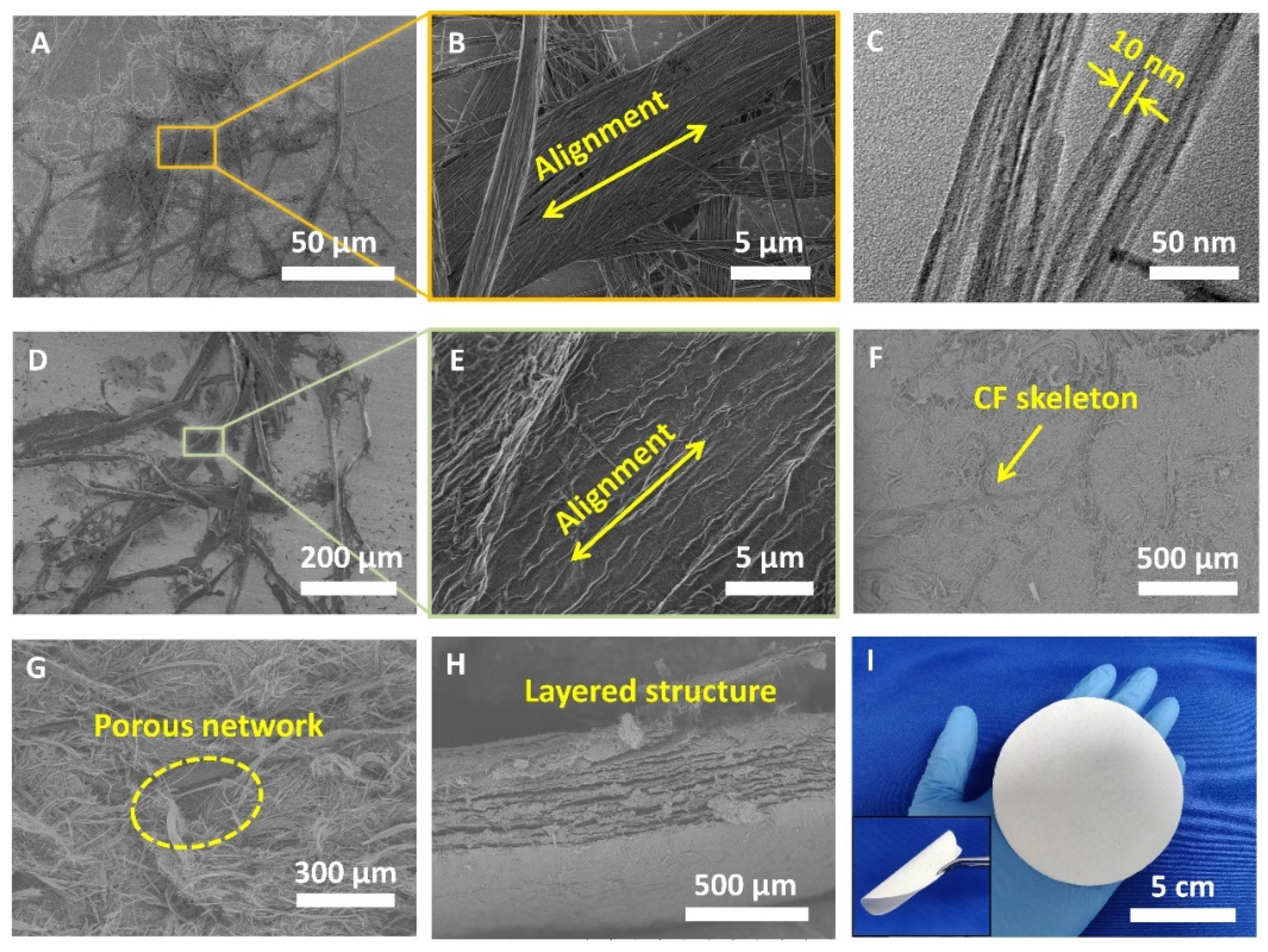 Coatings 12 00479 g002