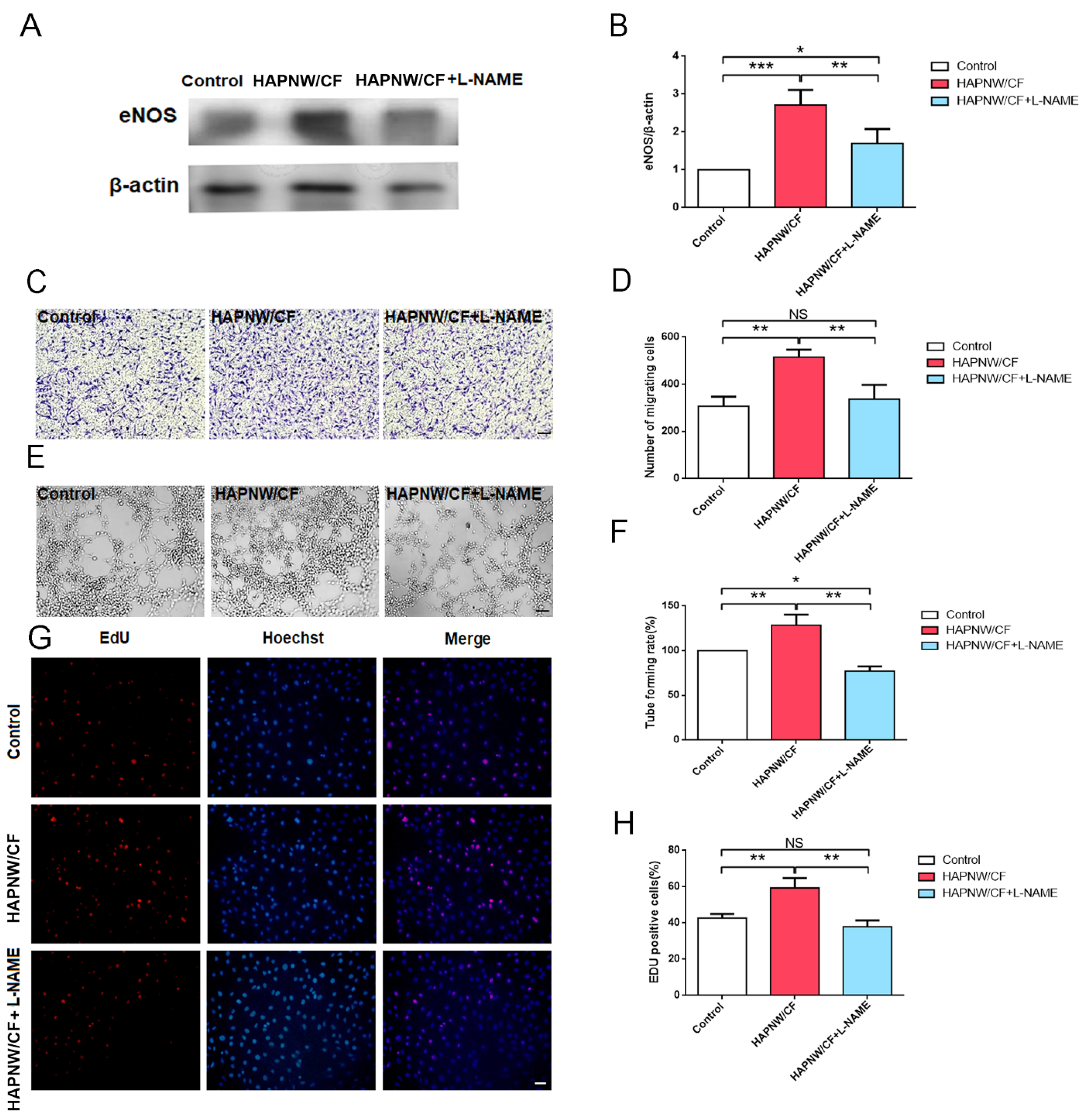 Coatings 12 00479 g008