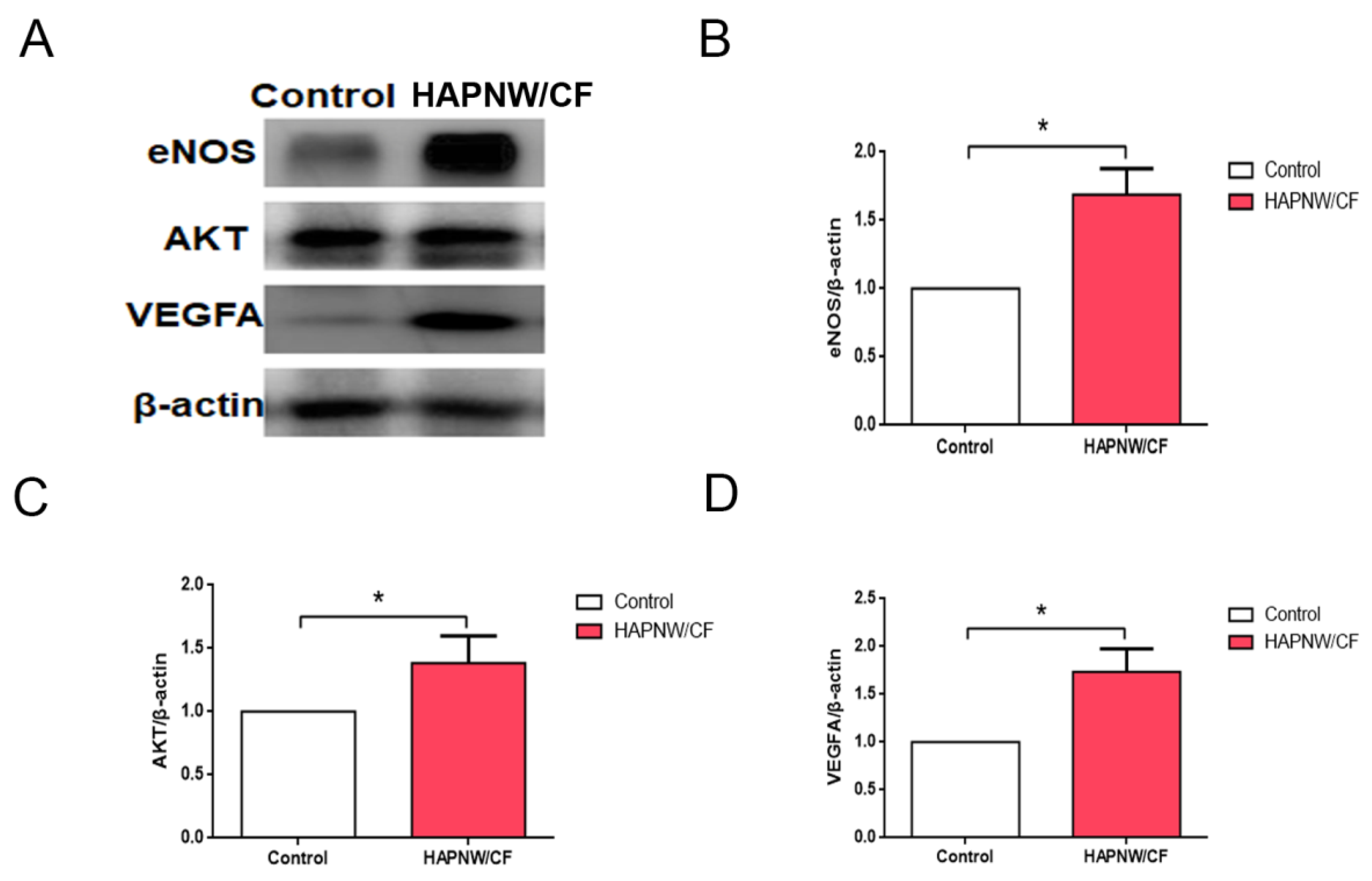 Coatings 12 00479 g009