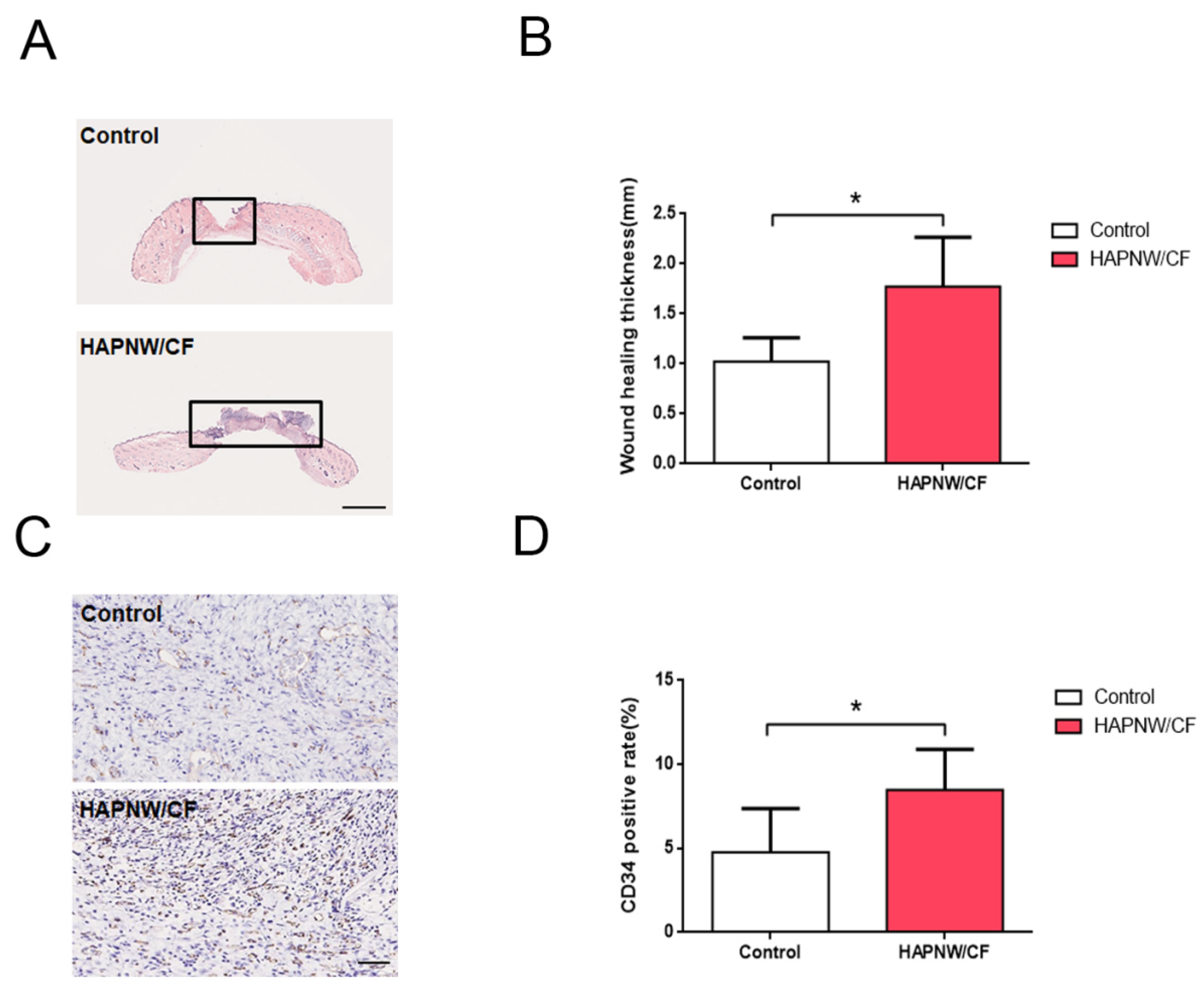 Coatings 12 00479 g010
