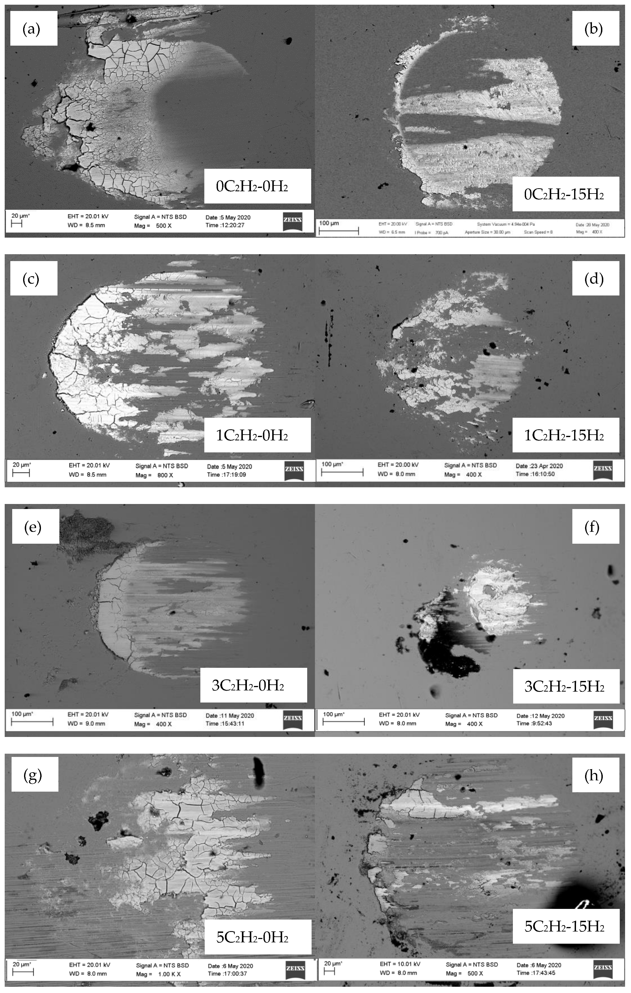 Coatings 12 00493 g012