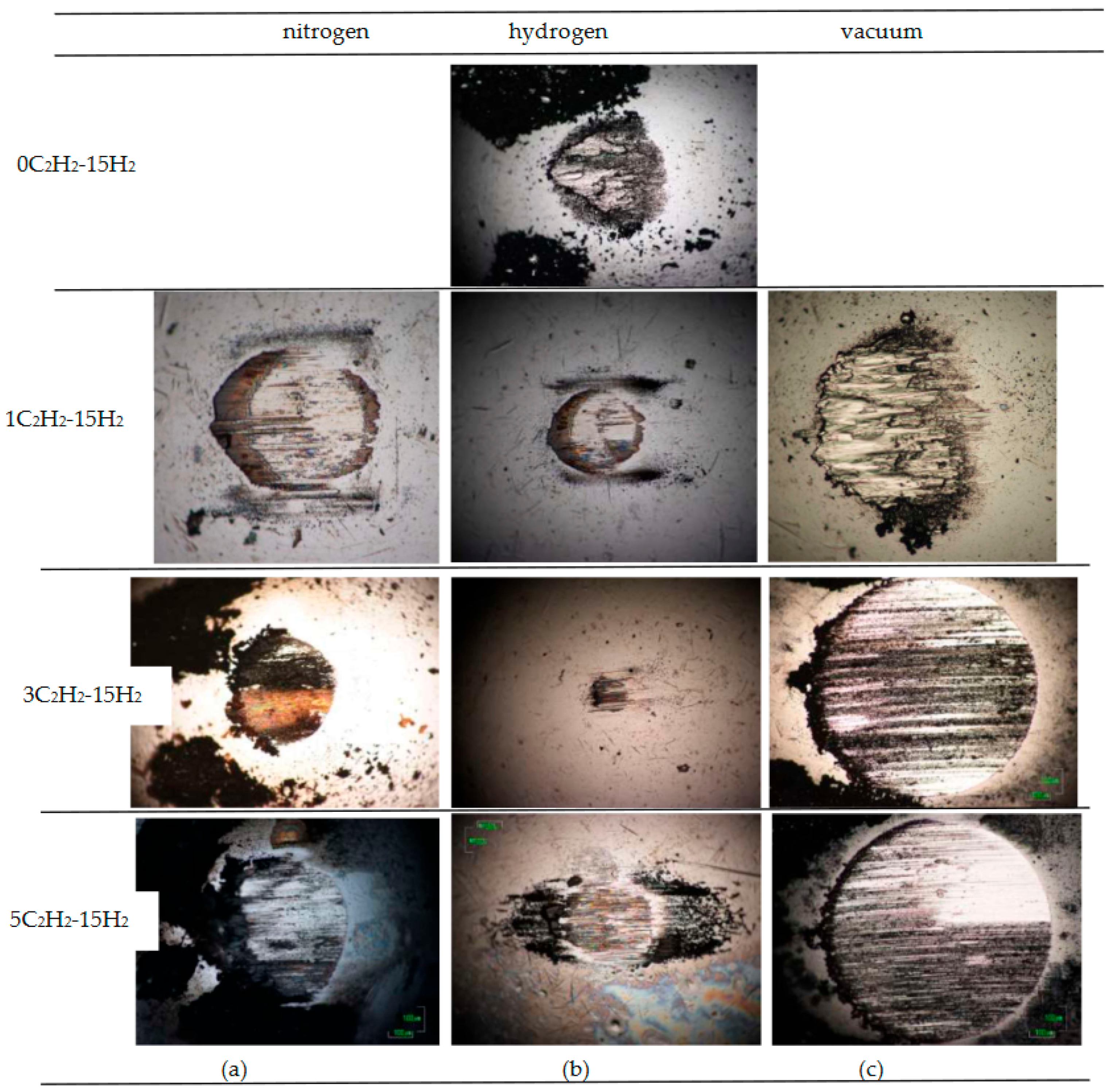Coatings 12 00493 g017