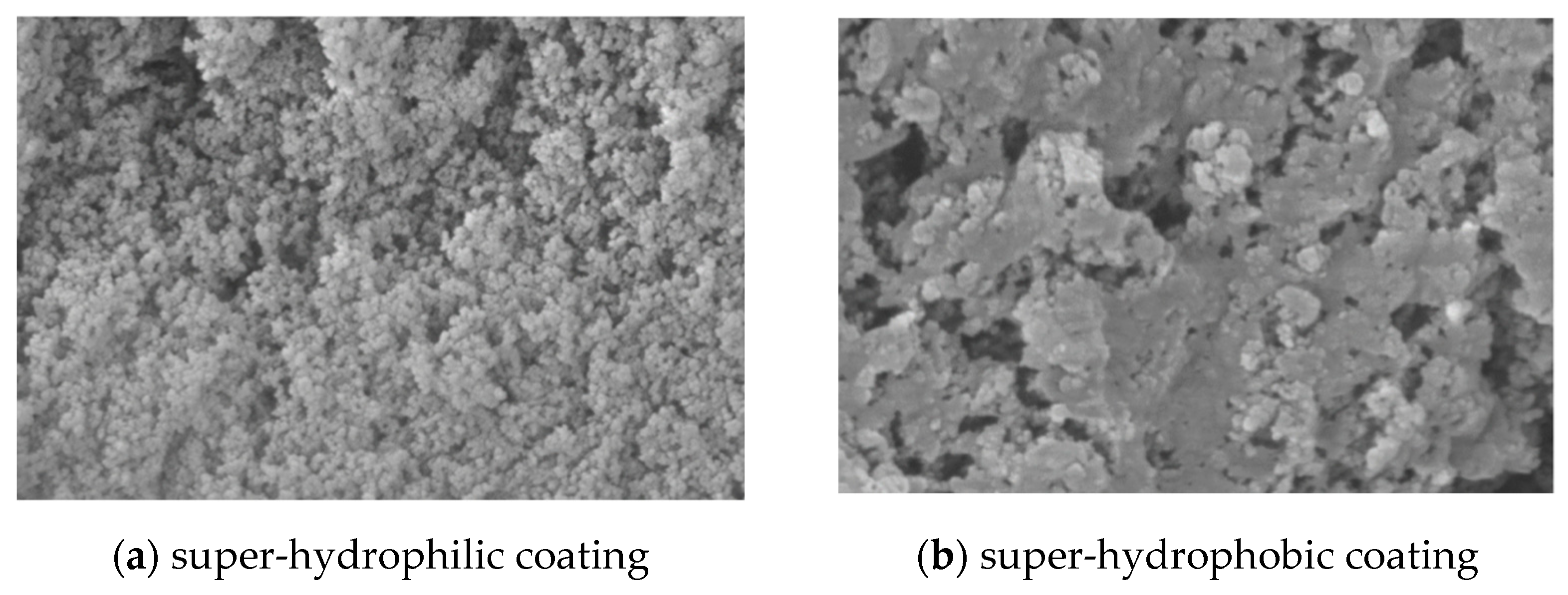 Coatings 12 00502 g003