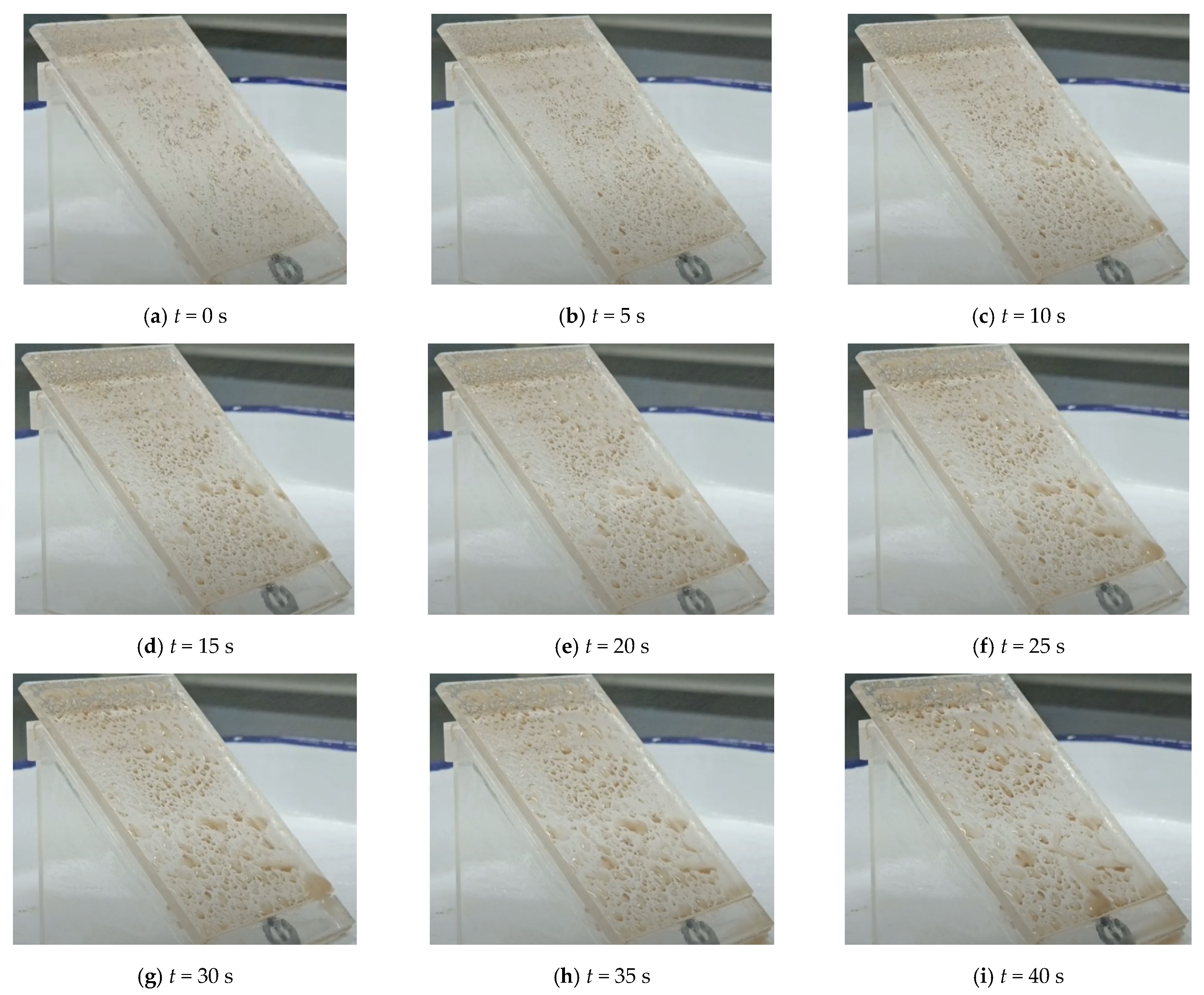 Coatings 12 00502 g010