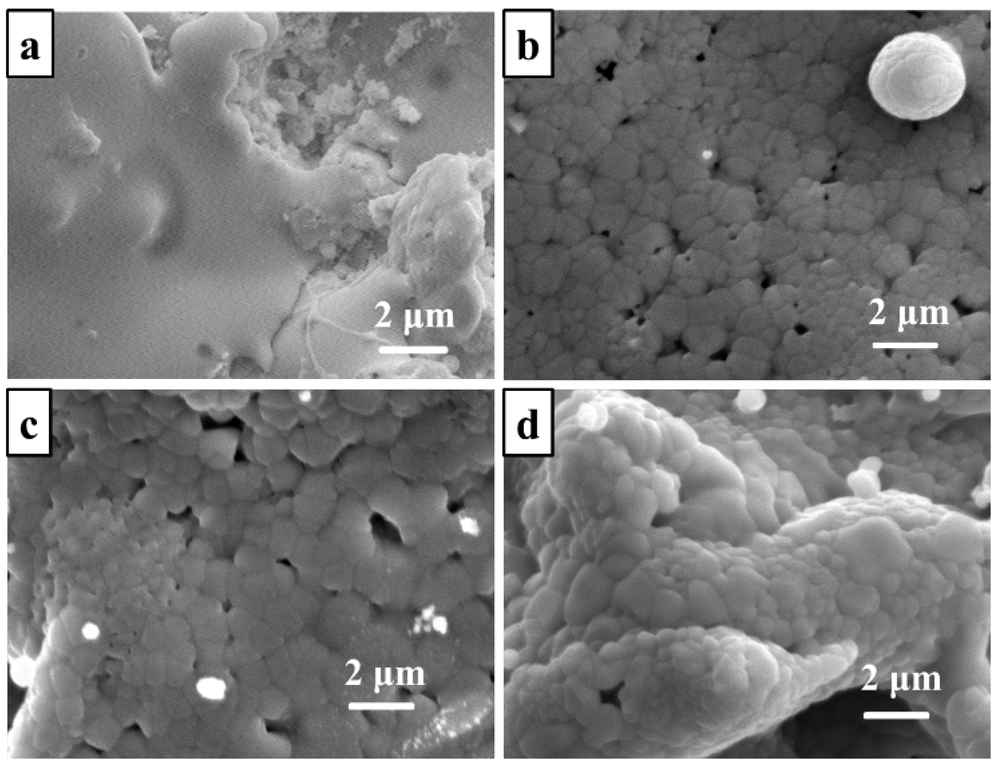 Coatings 12 00510 g009