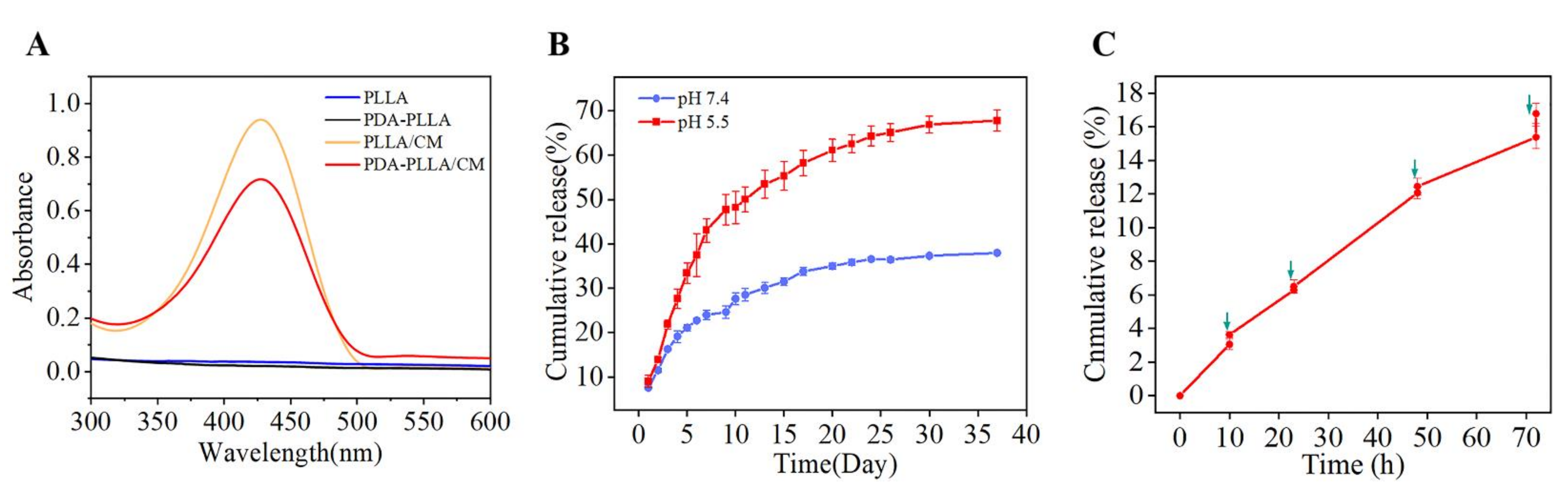 Coatings 12 00524 g003