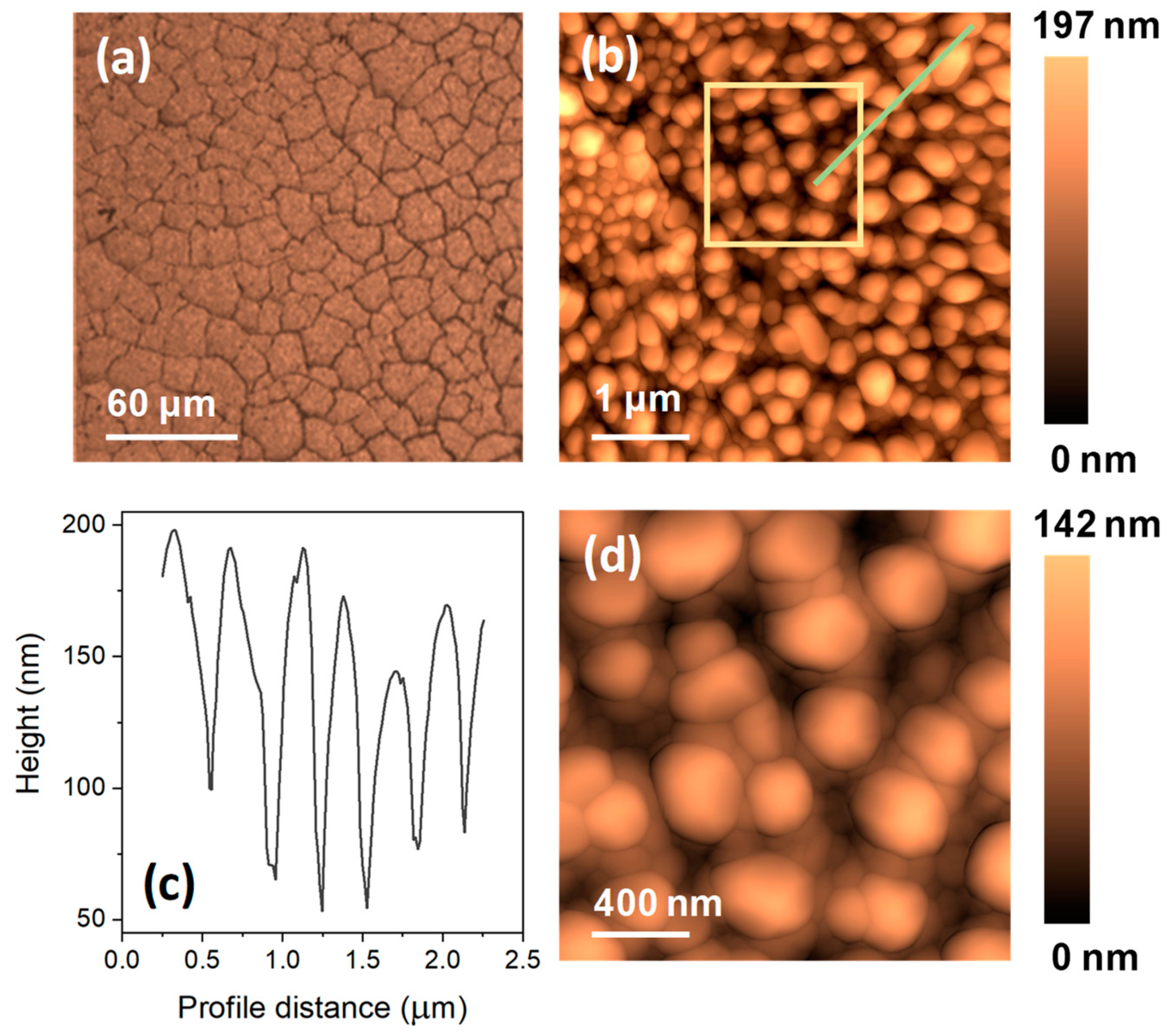 Coatings 12 00540 g002