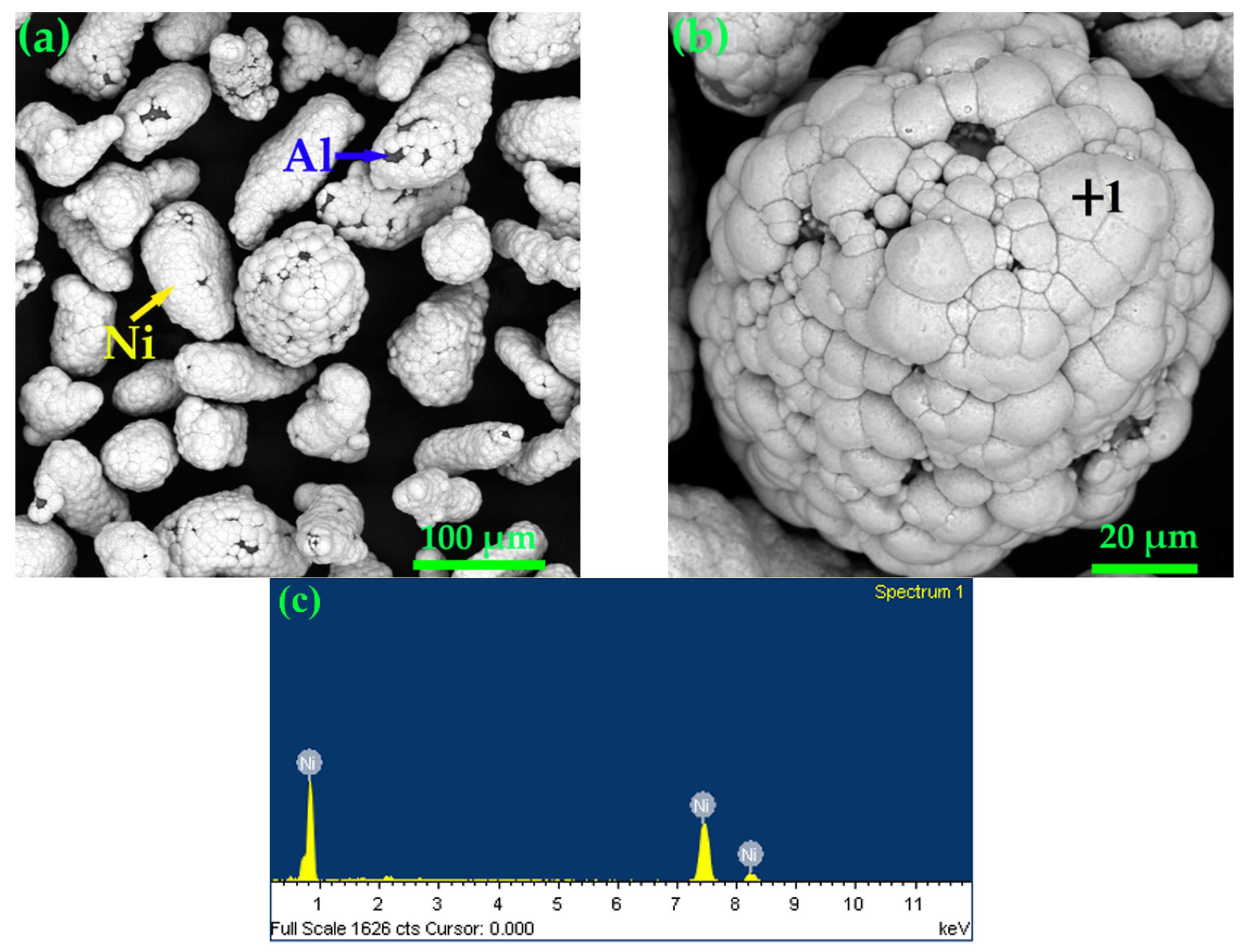 Coatings 12 00544 g001