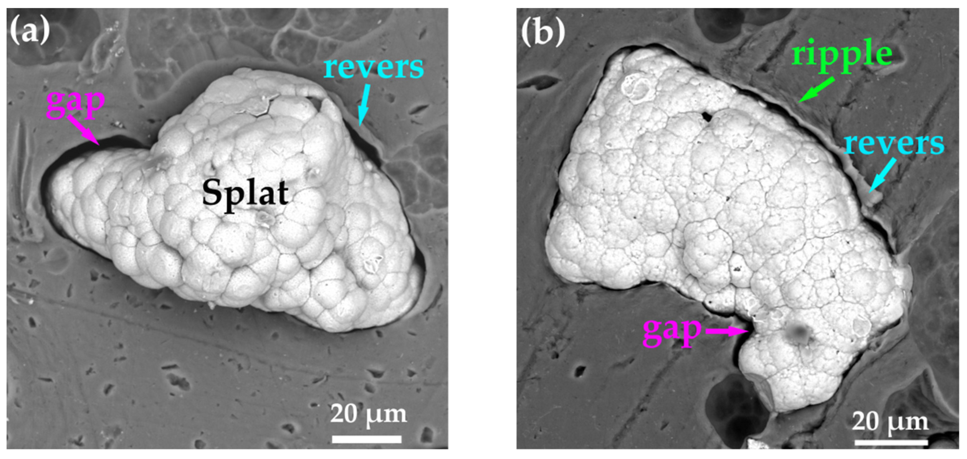 Coatings 12 00544 g004