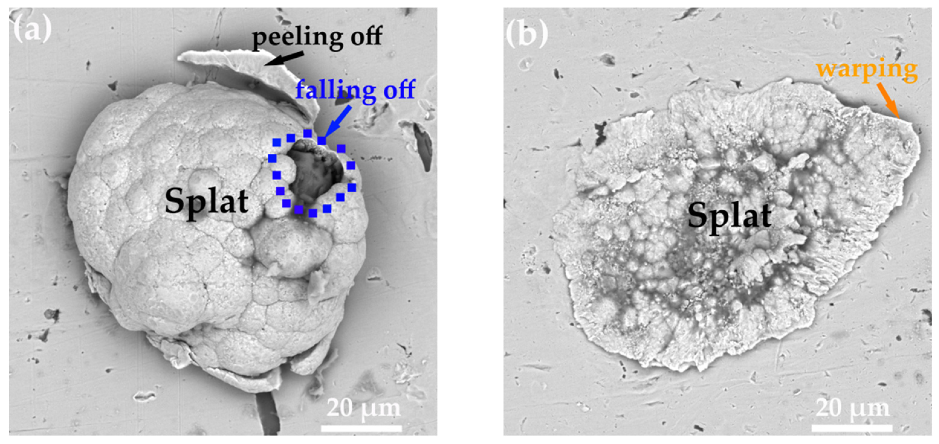 Coatings 12 00544 g005