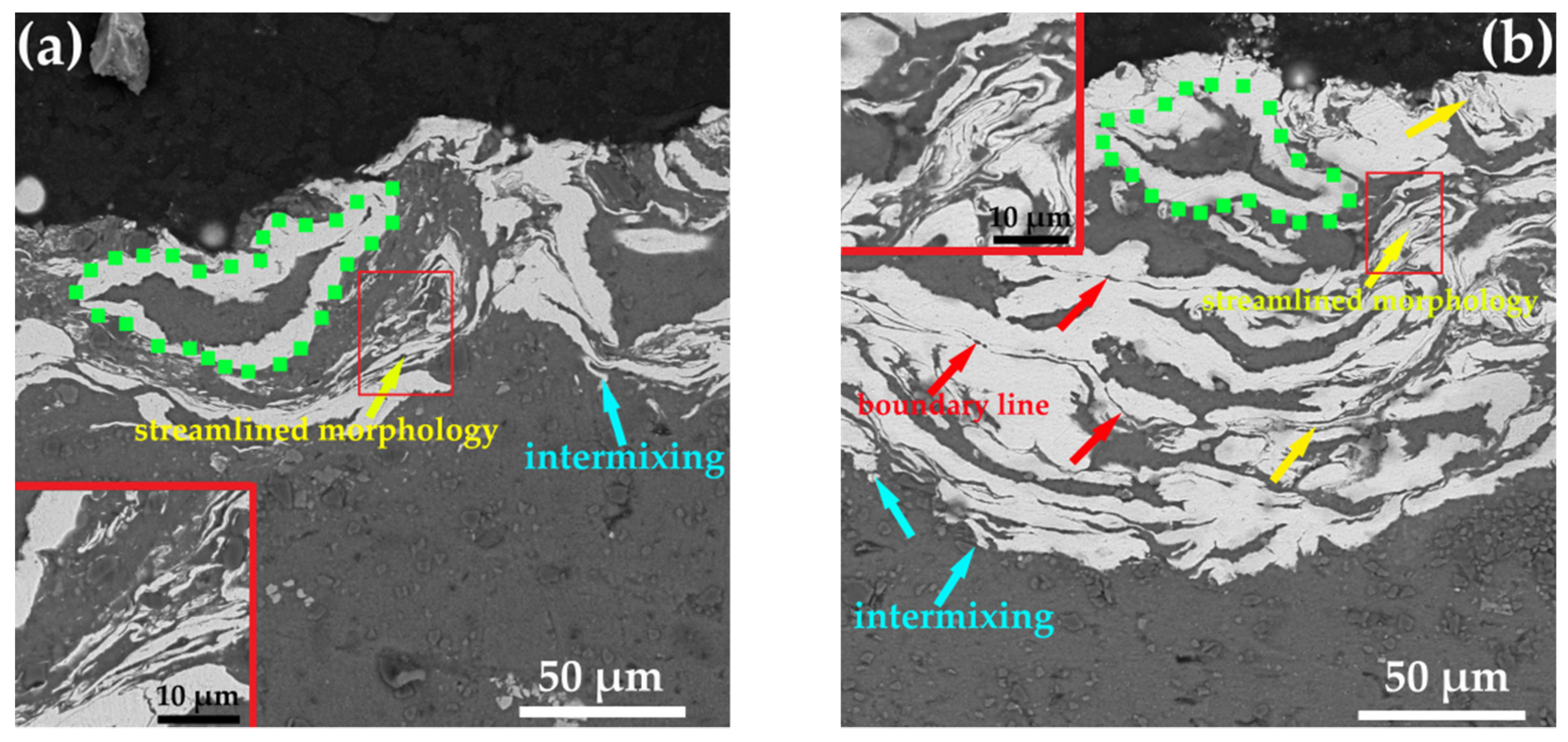 Coatings 12 00544 g007