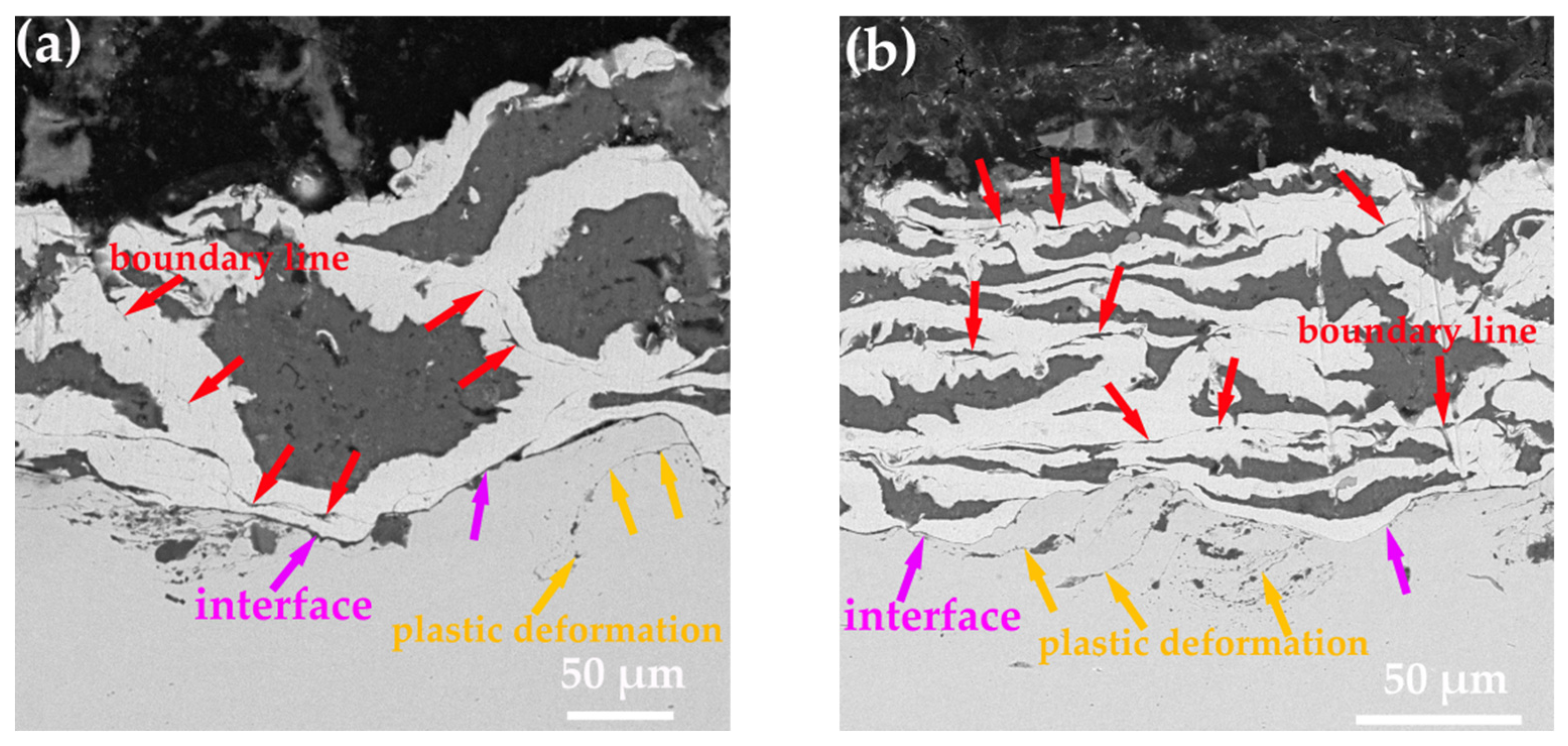 Coatings 12 00544 g009