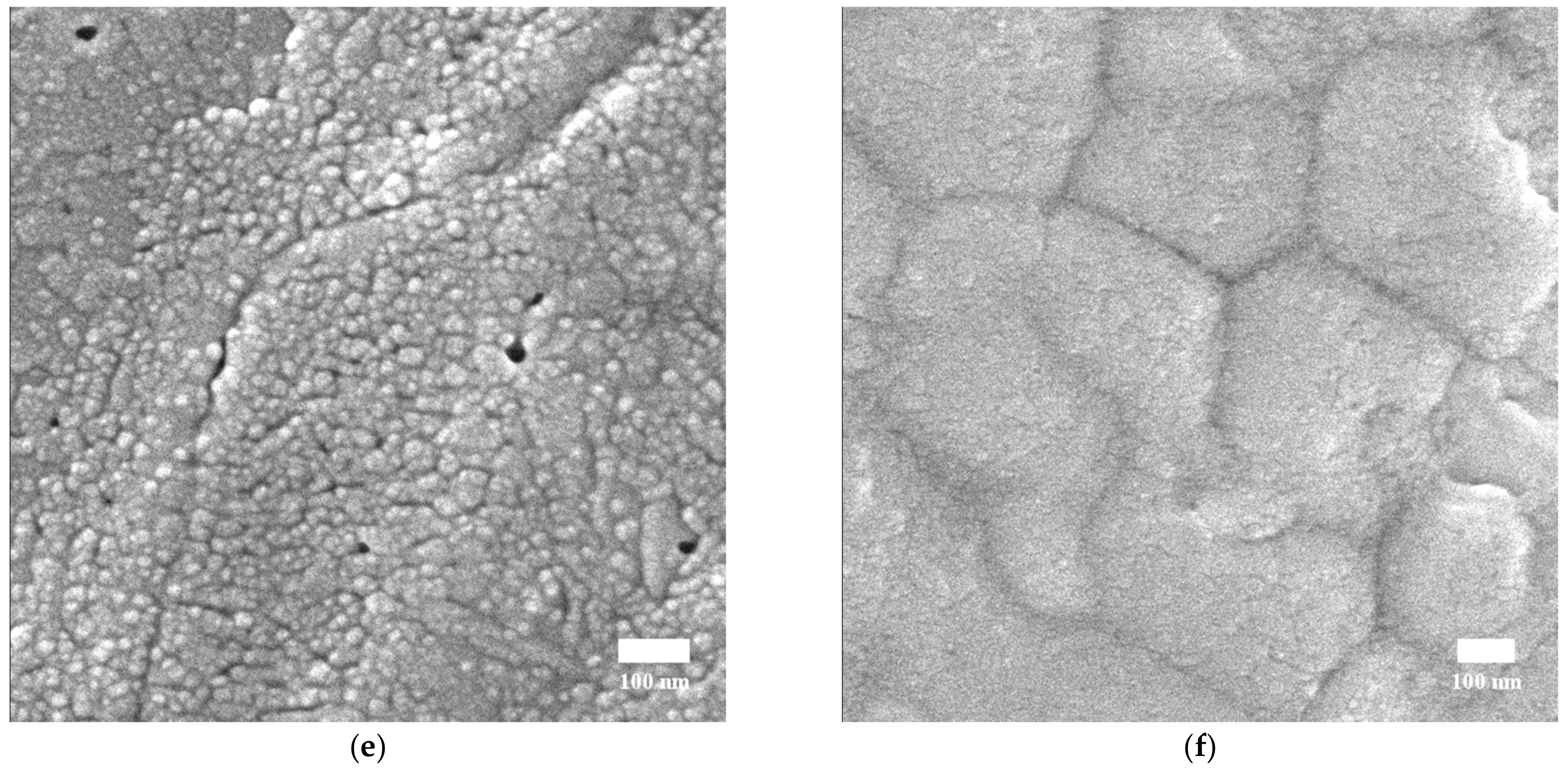 Coatings 12 00549 g003b Coatings 12 00549 g003b
