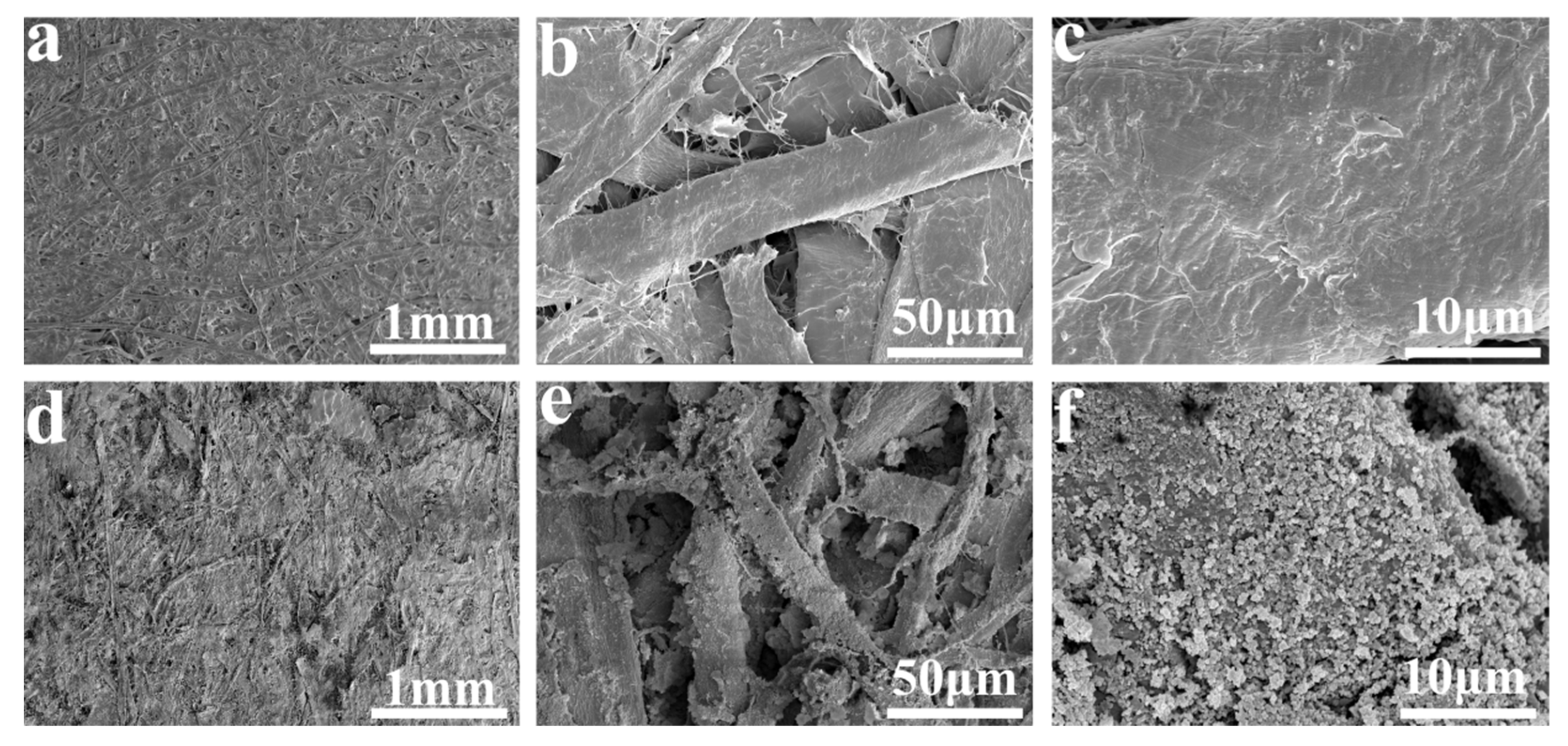 Coatings 12 00555 g003