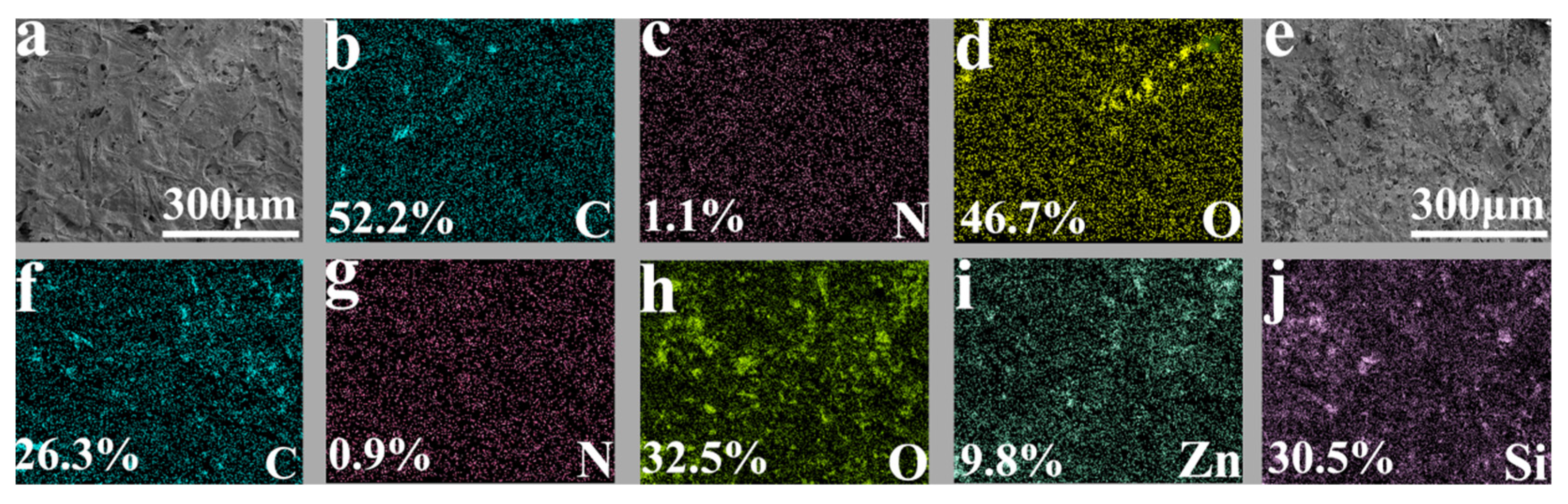 Coatings 12 00555 g004