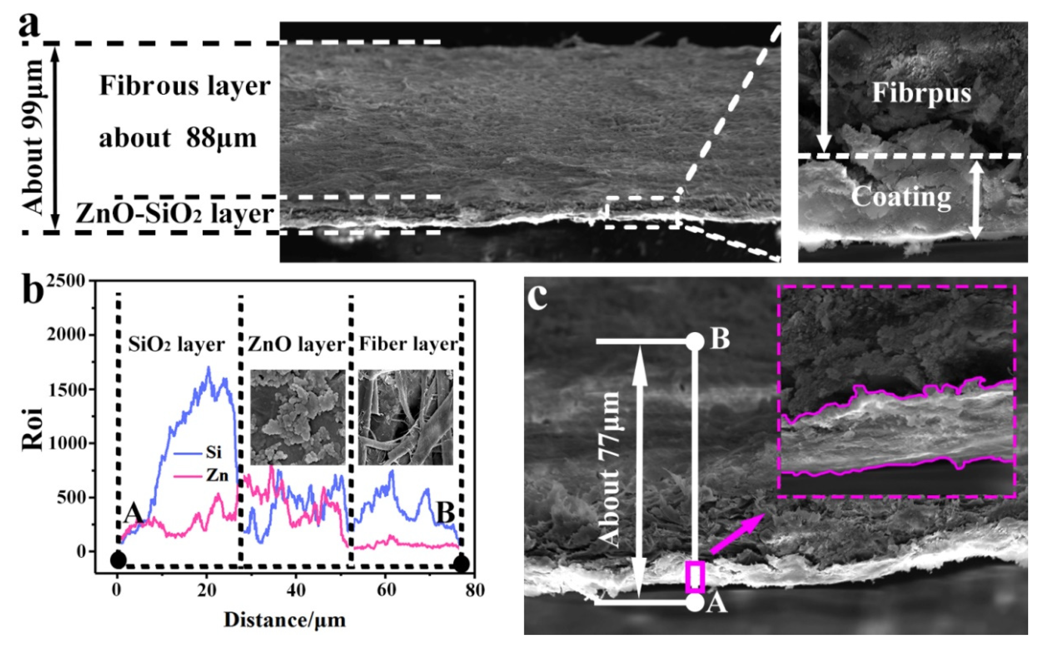 Coatings 12 00555 g006