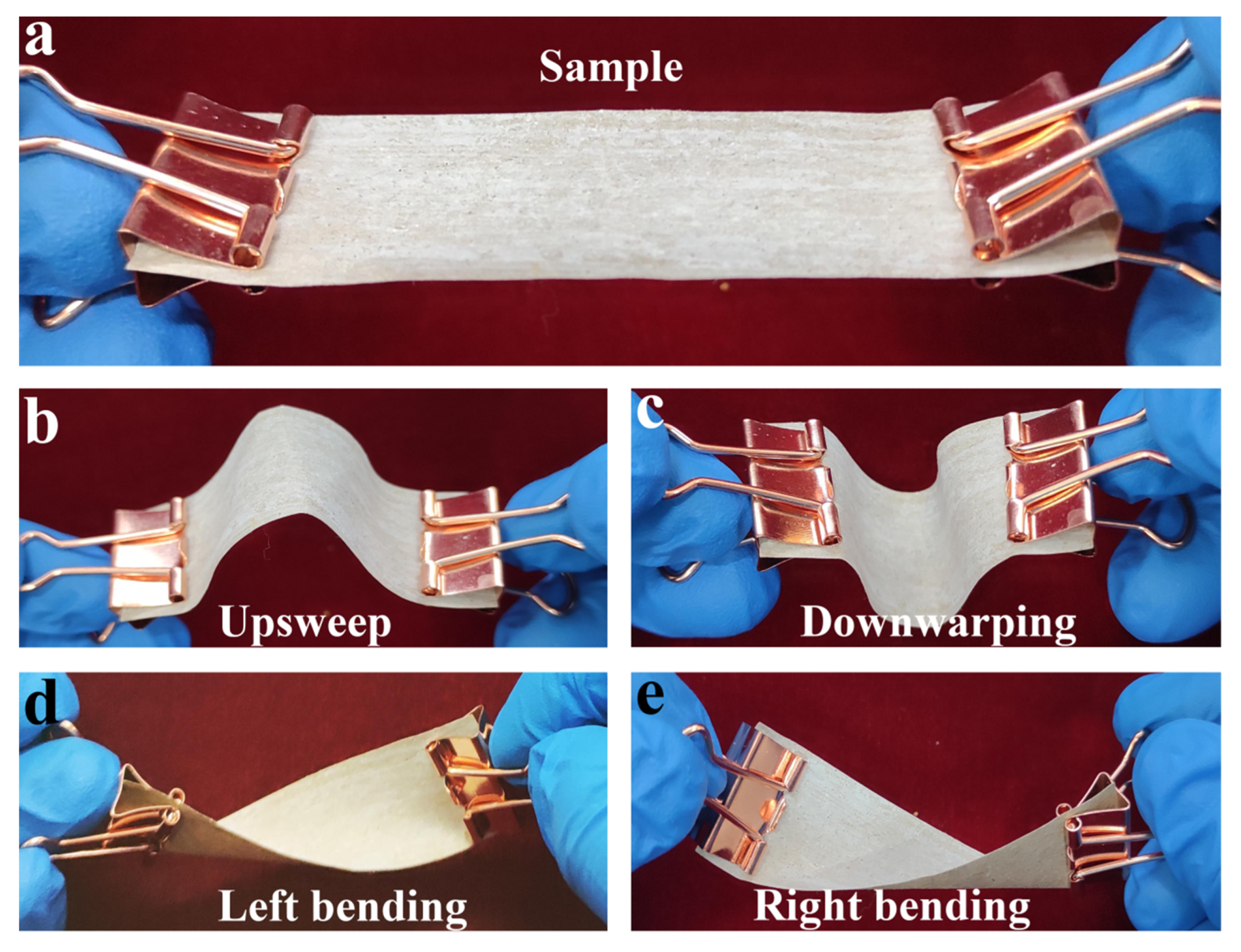 Coatings 12 00555 g007