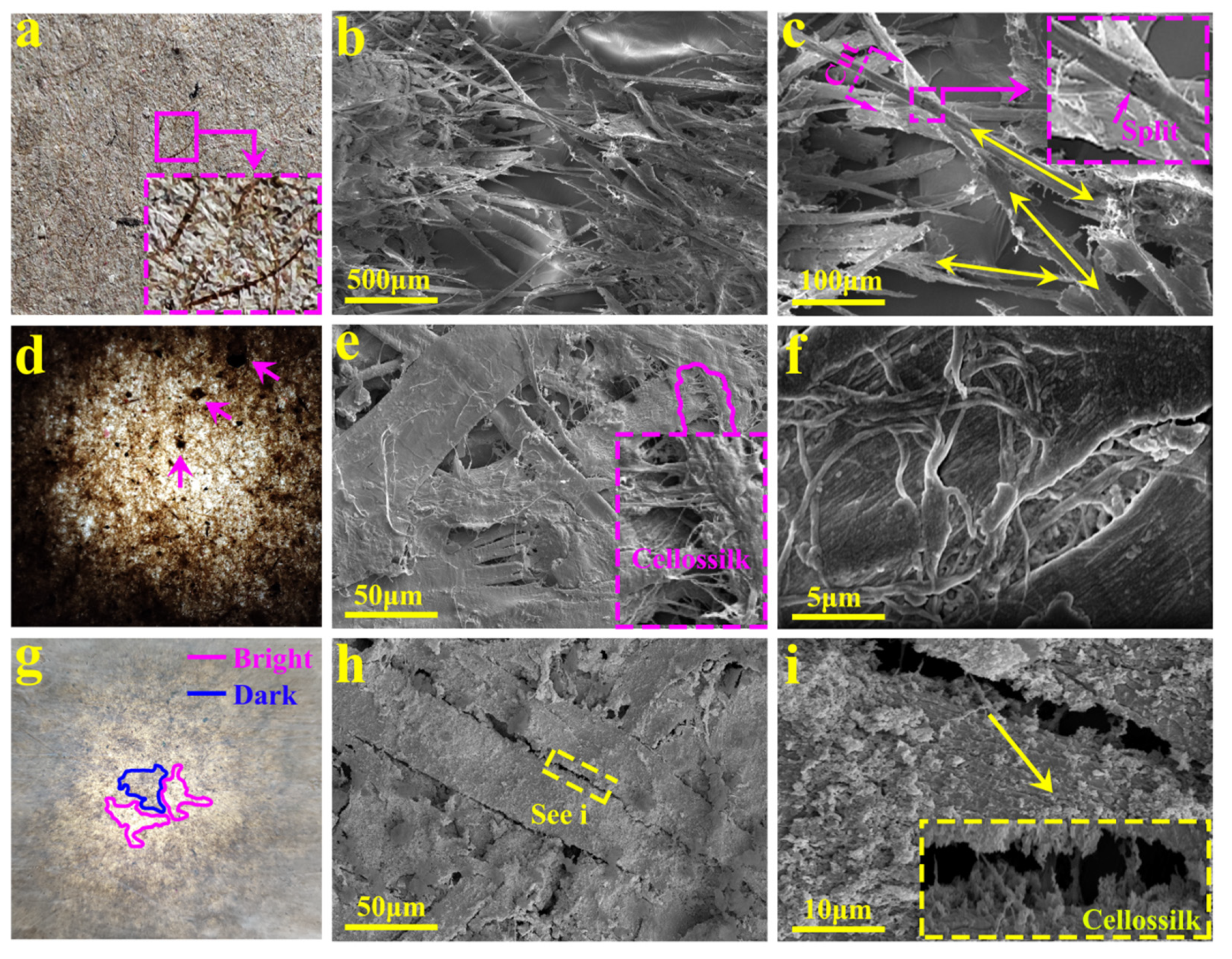 Coatings 12 00555 g011