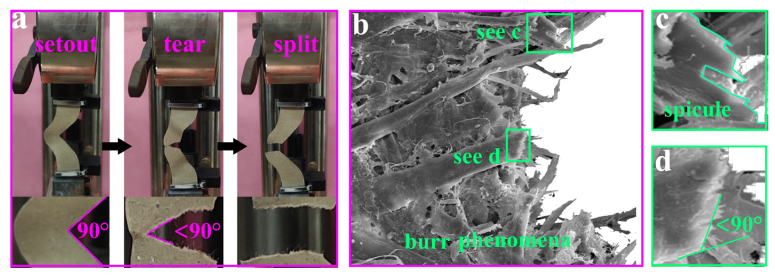 Coatings 12 00555 g013