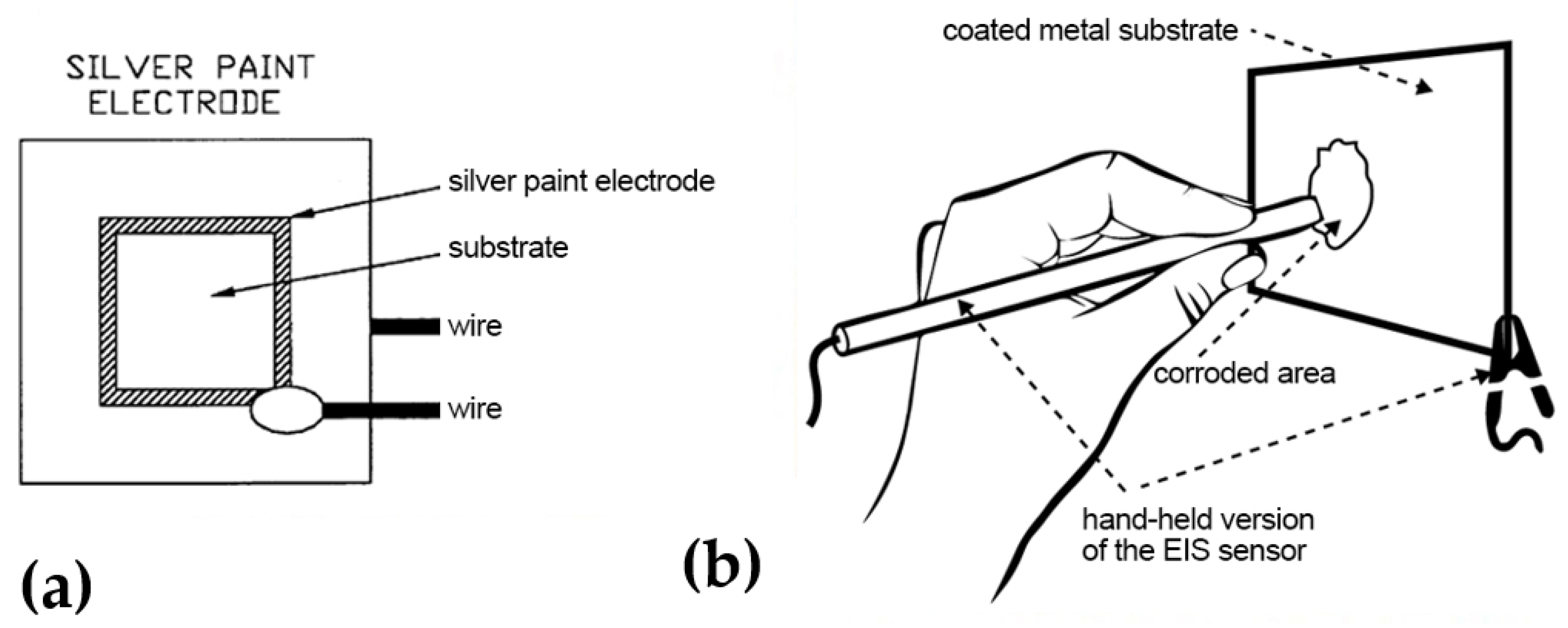 Coatings 12 00565 g003