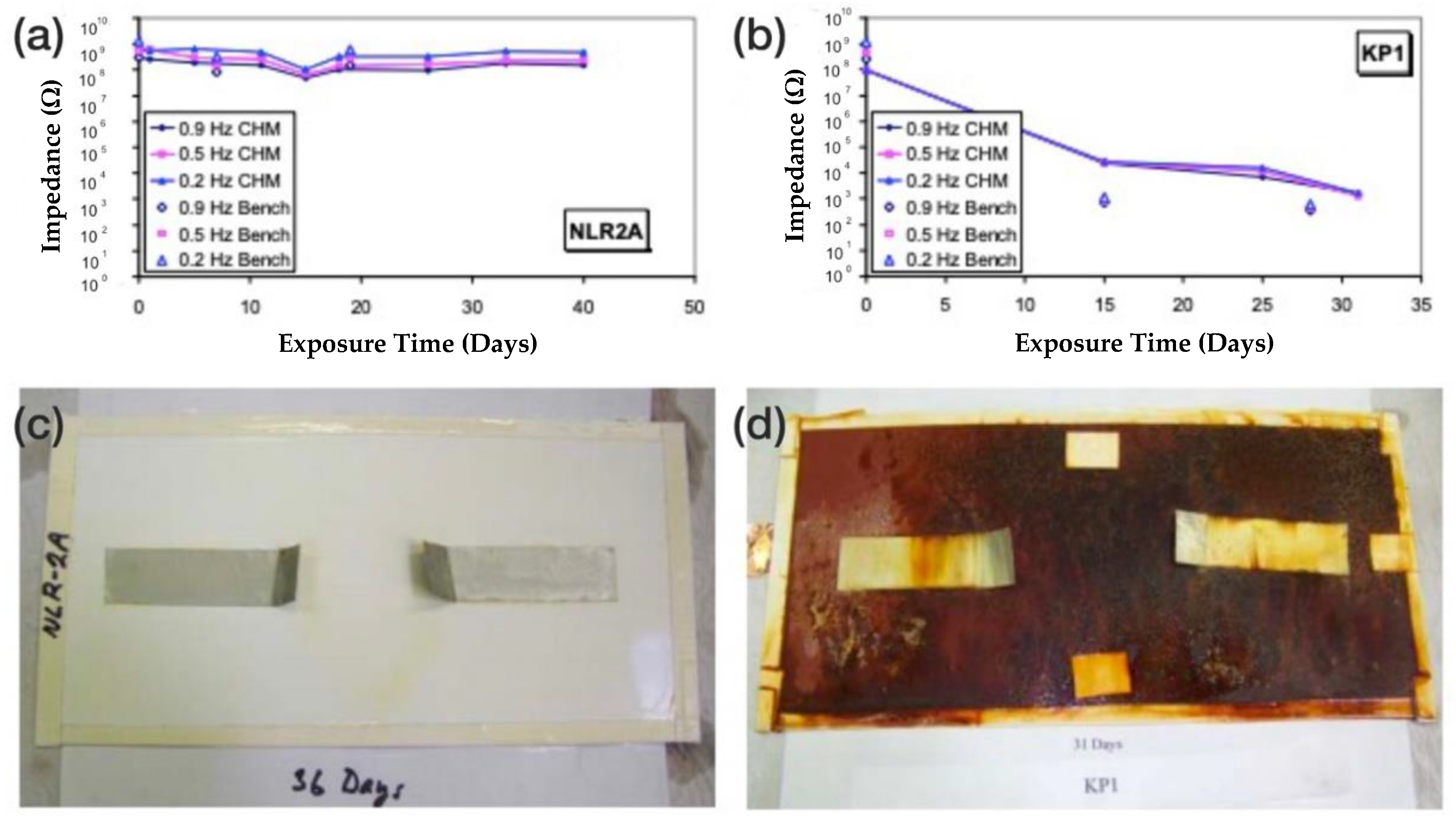 Coatings 12 00565 g006